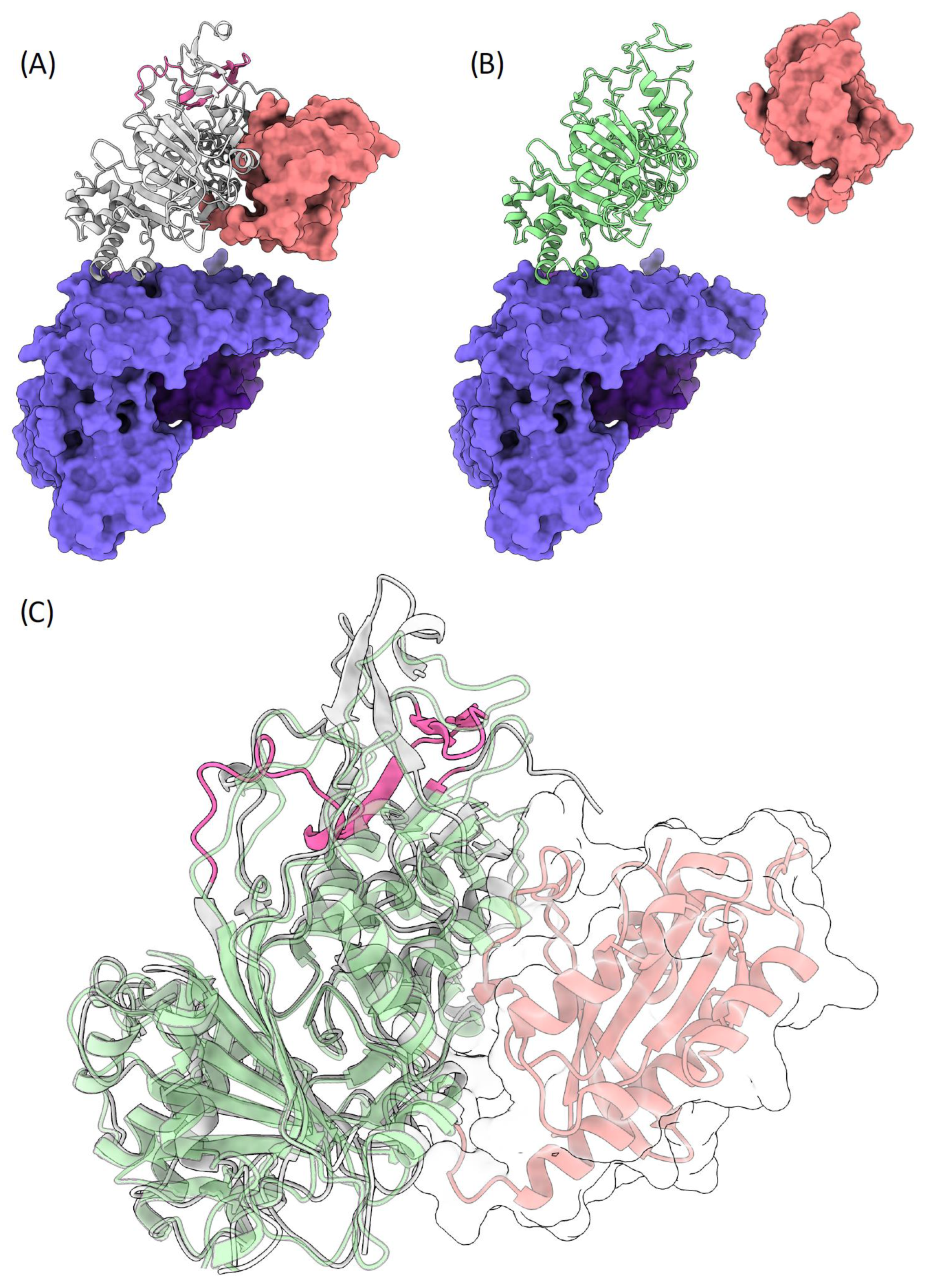 Genes 13 01268 g006 550
