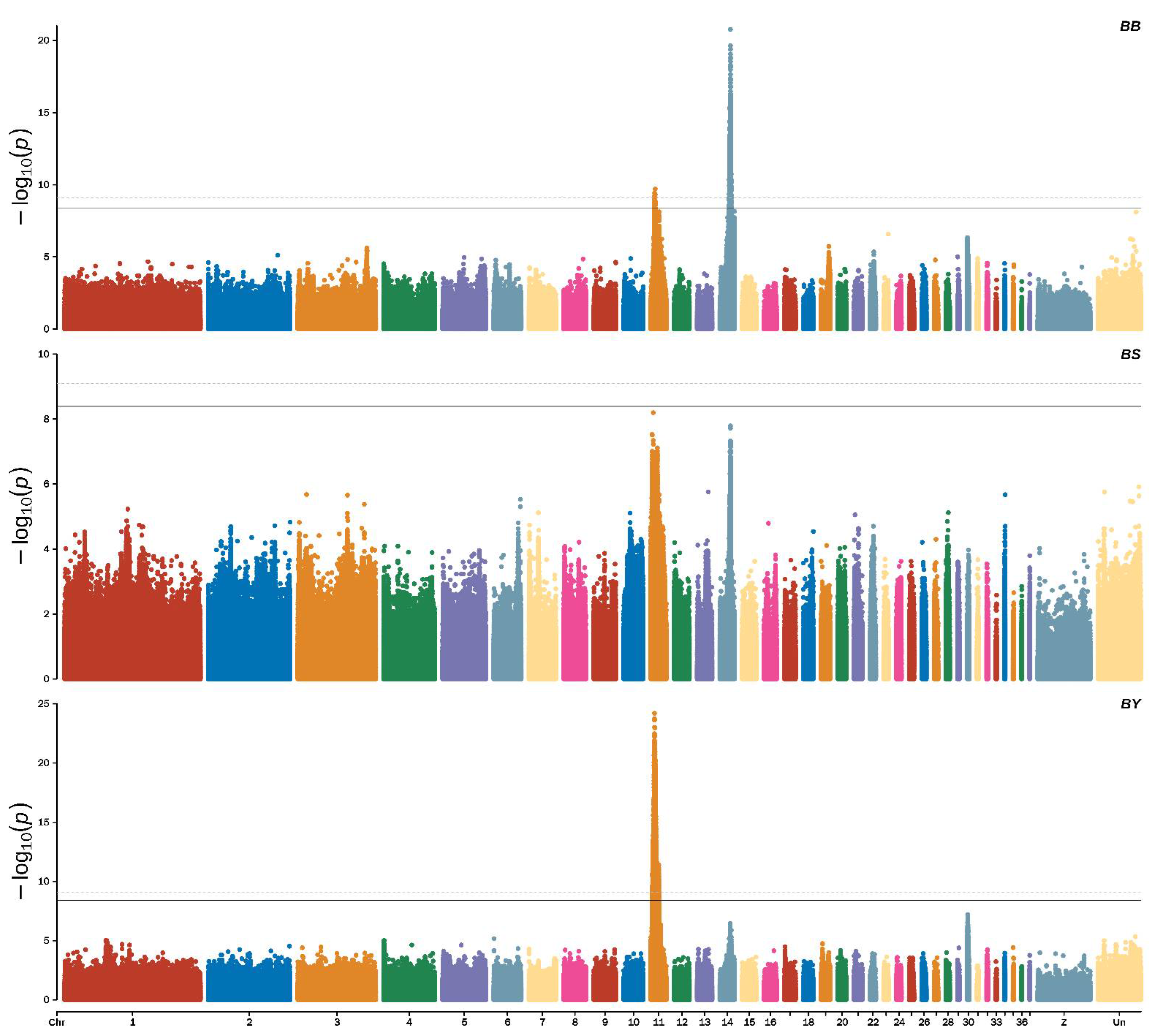 Genes 13 01271 g003 Genes 13 01271 g003