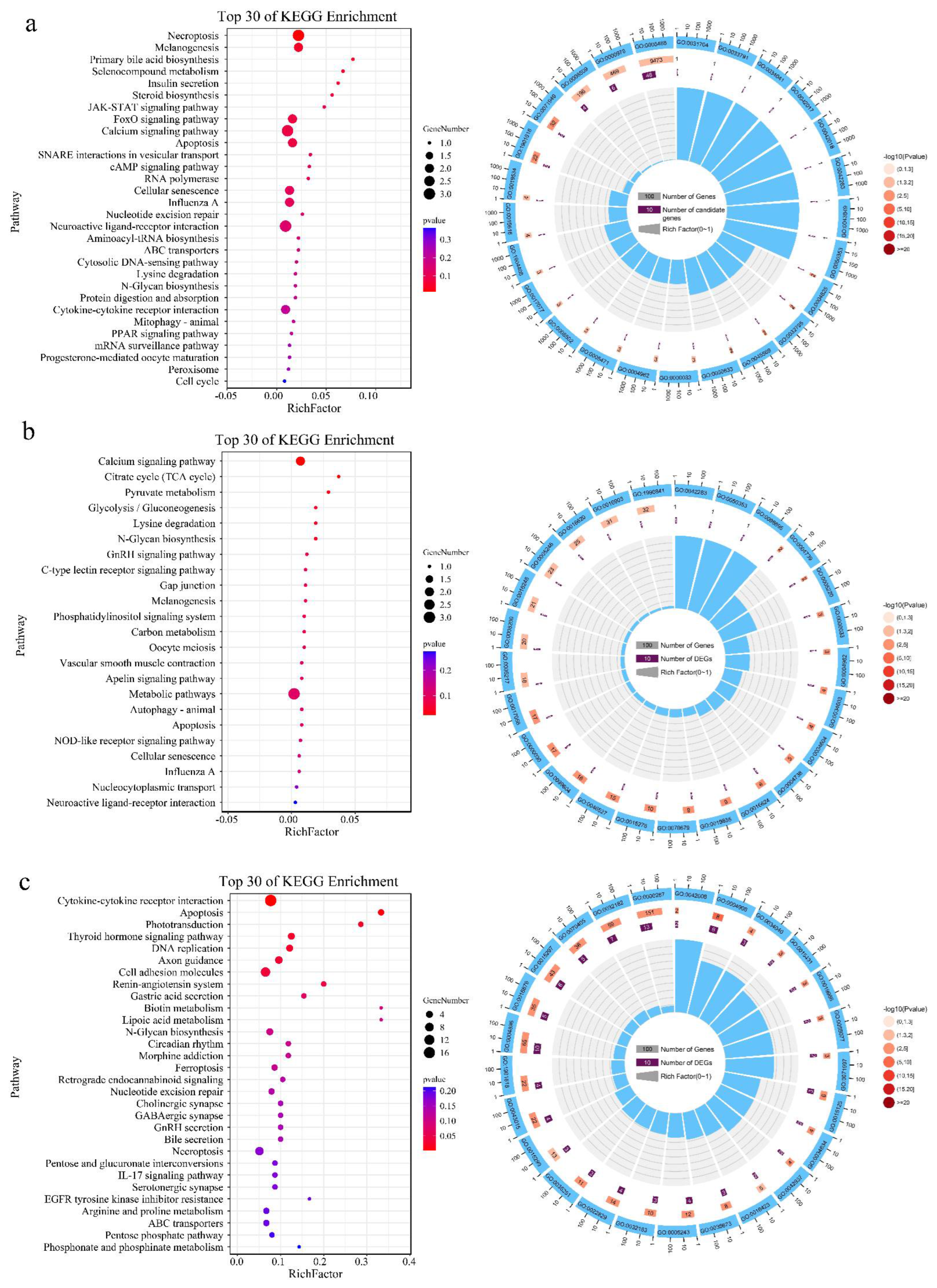 Genes 13 01271 g005 Genes 13 01271 g005
