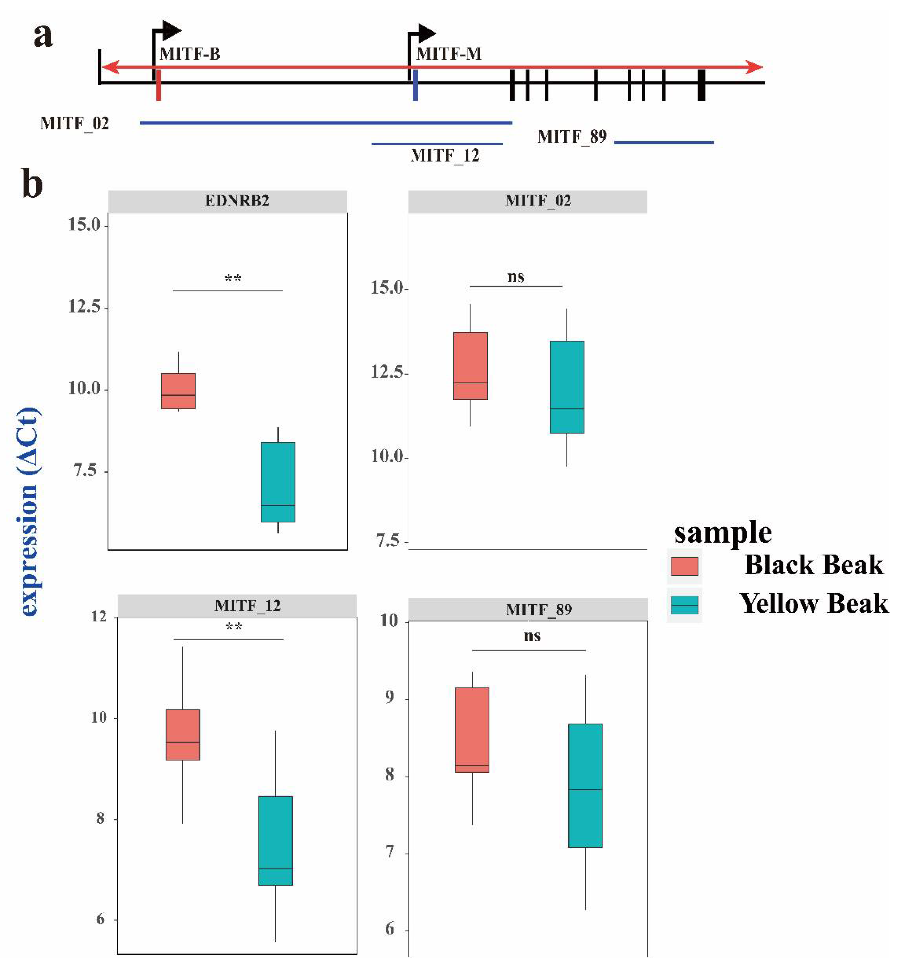 Genes 13 01271 g006 Genes 13 01271 g006