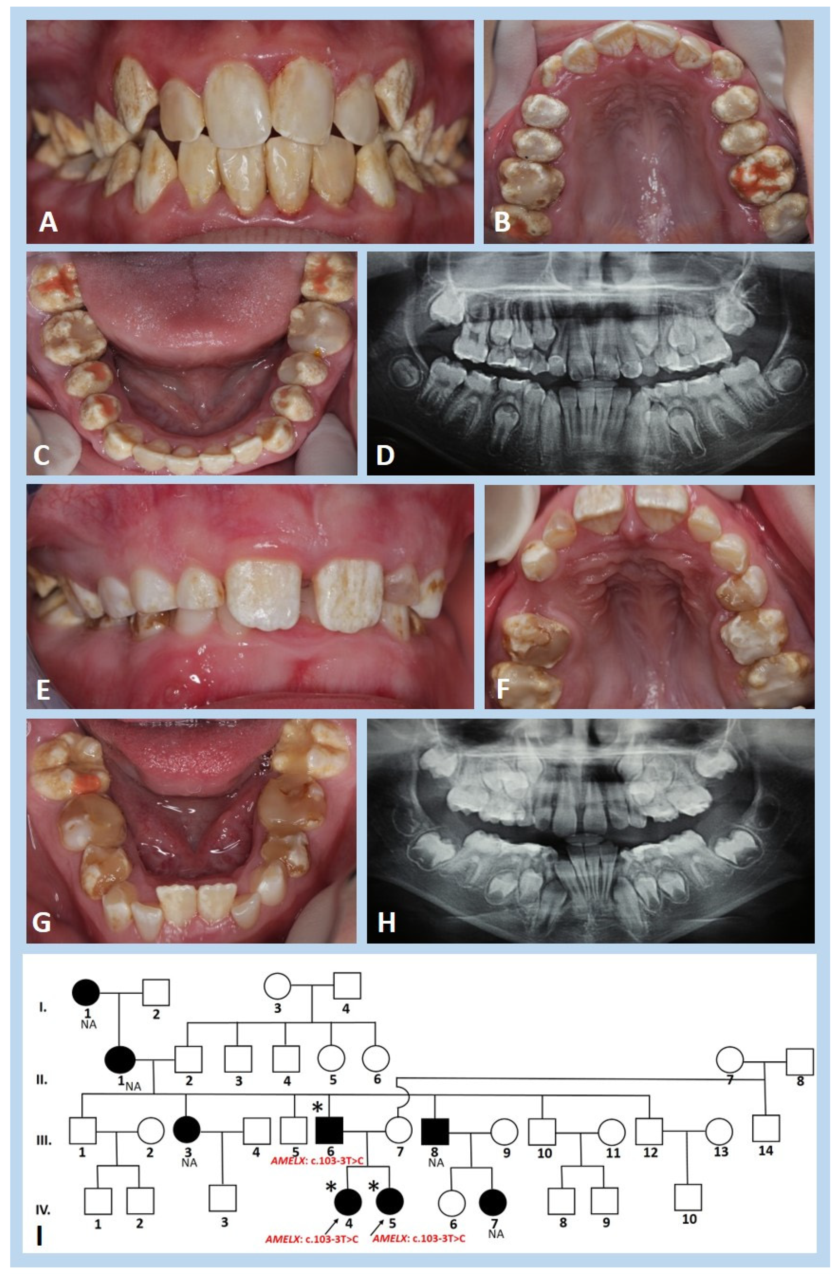 Genes 13 01272 g002 Genes 13 01272 g002