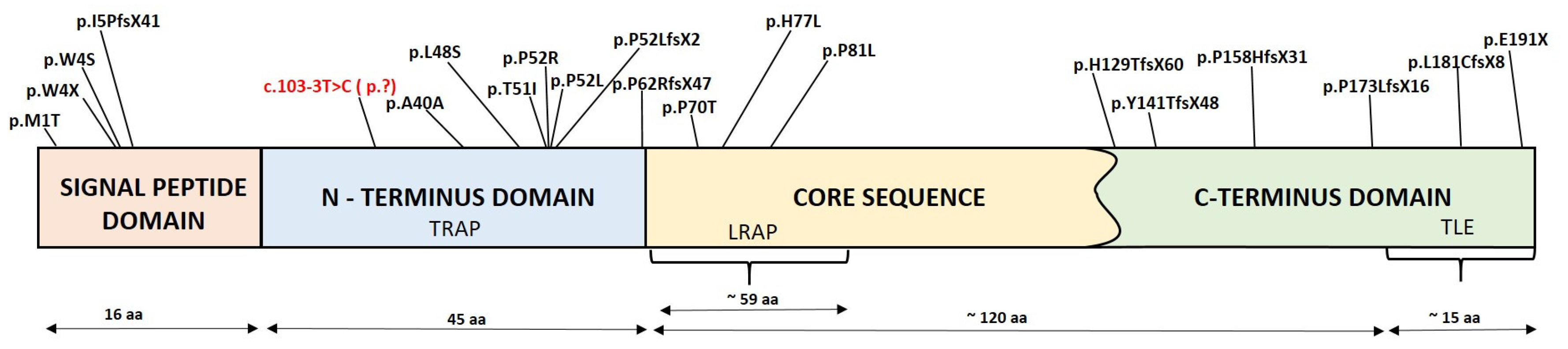 Genes 13 01272 g005 Genes 13 01272 g005