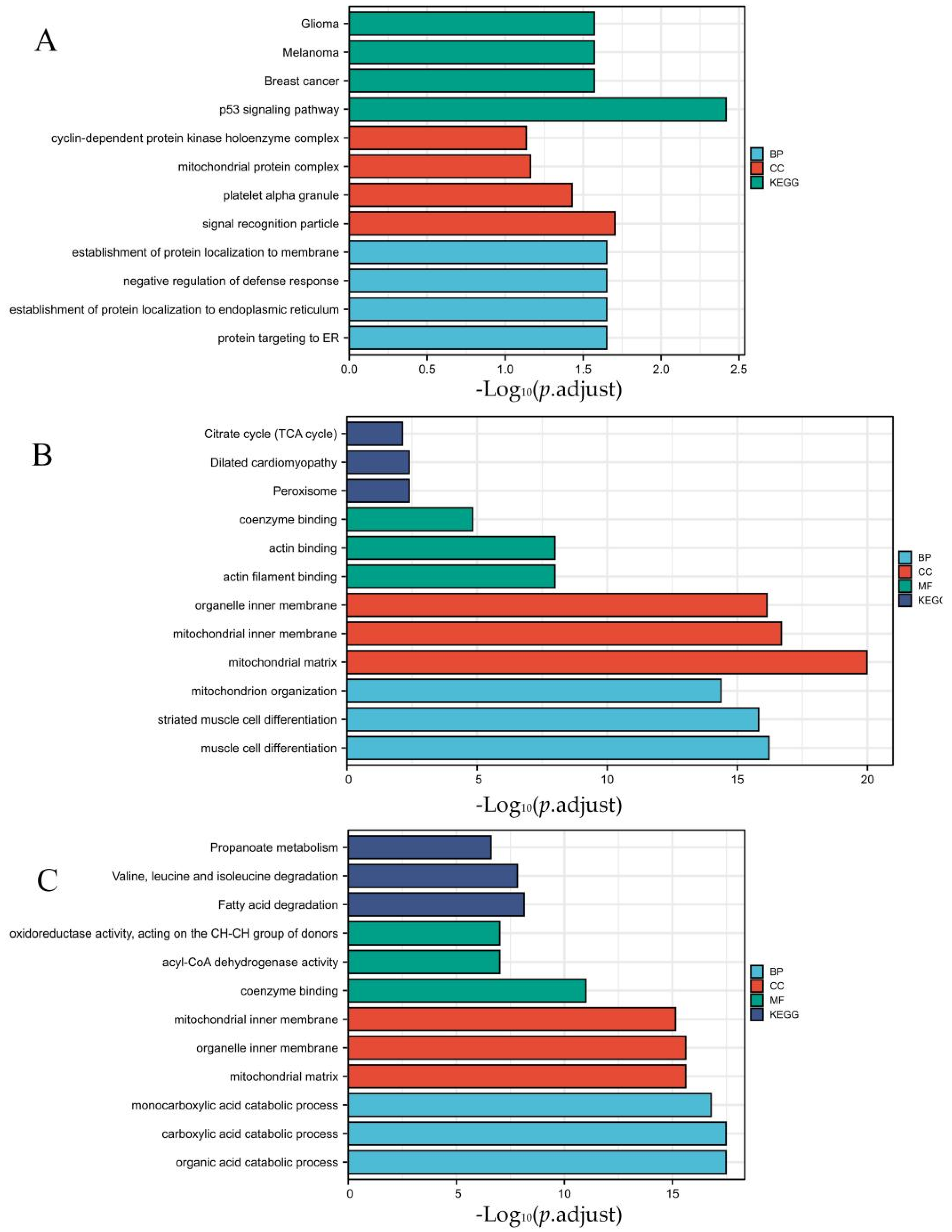 Genes 13 01276 g005