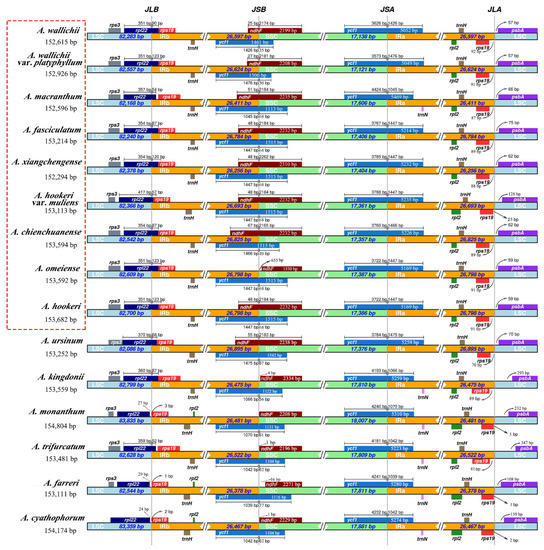 スペシャル Comparative Analysis of the Complete Chloroplast Genomes in
