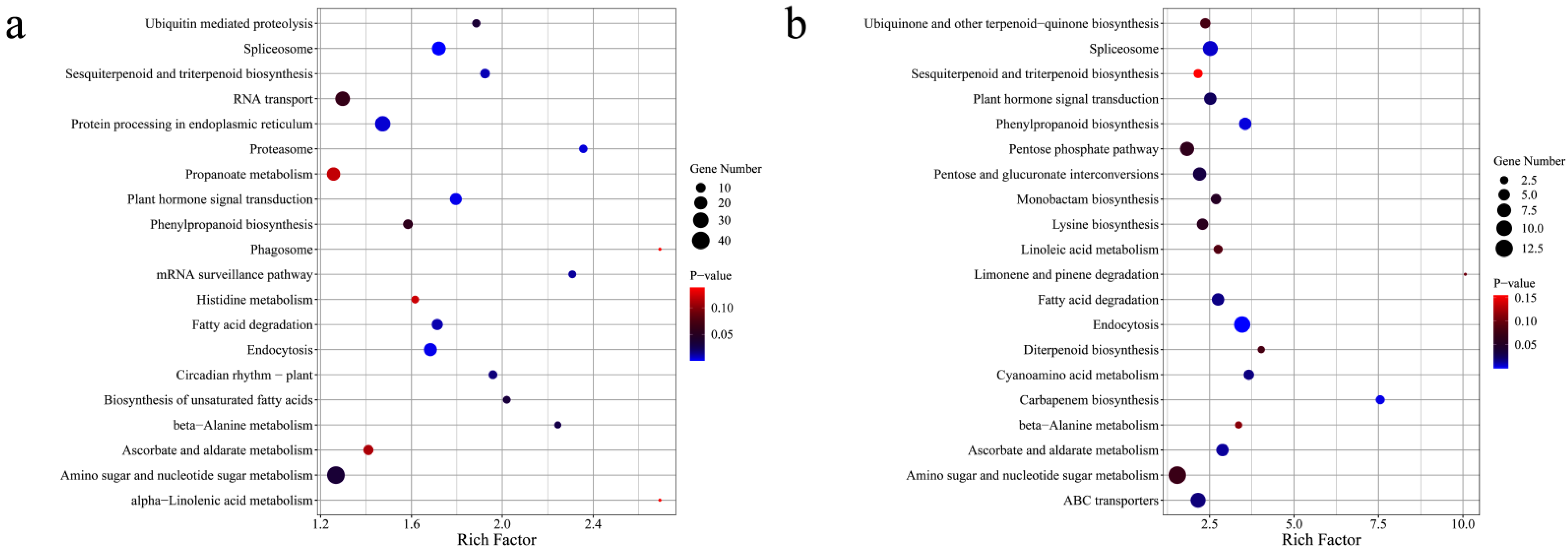 Genes 13 01285 g006 550