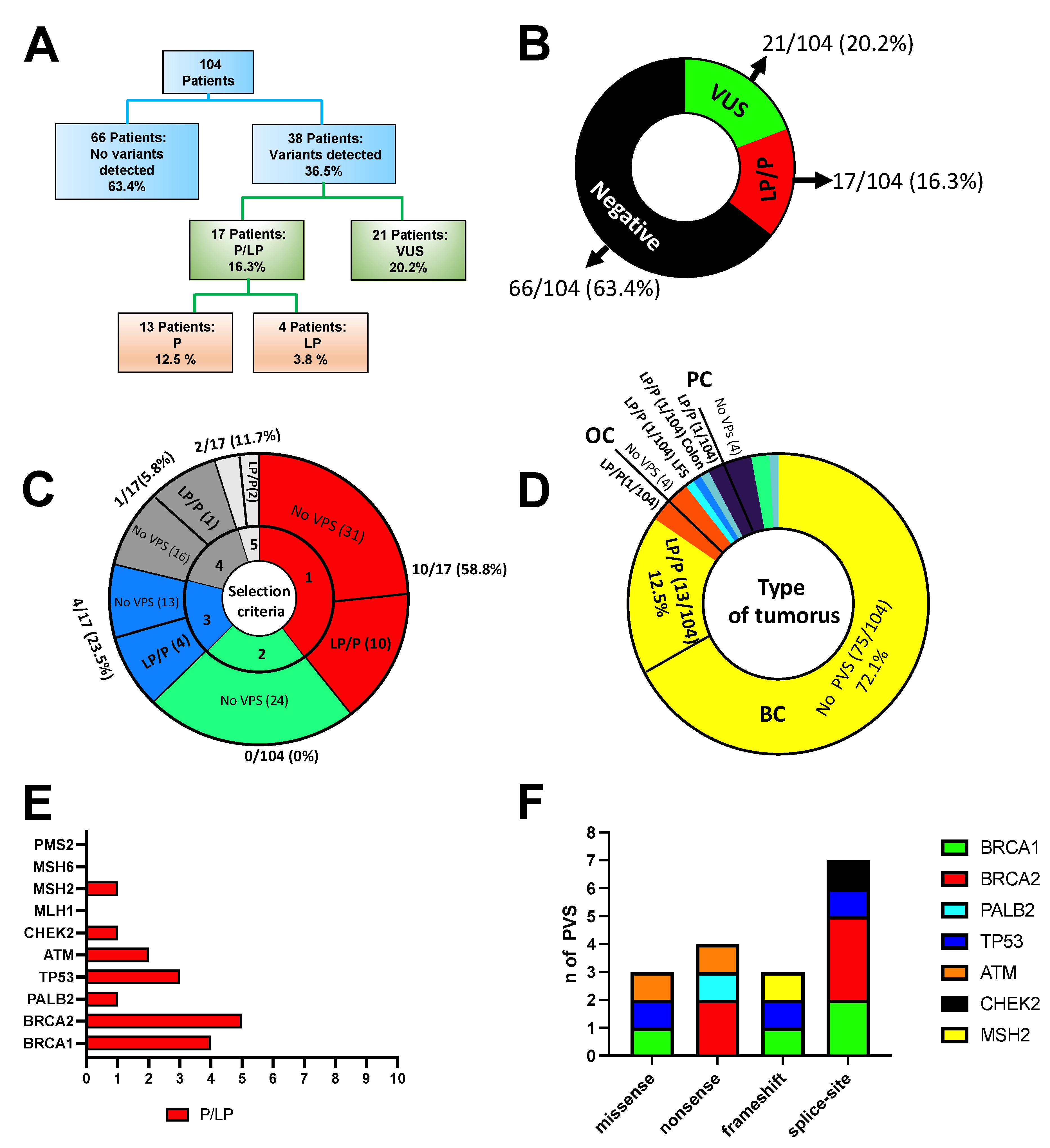Genes 13 01286 g005 Genes 13 01286 g005