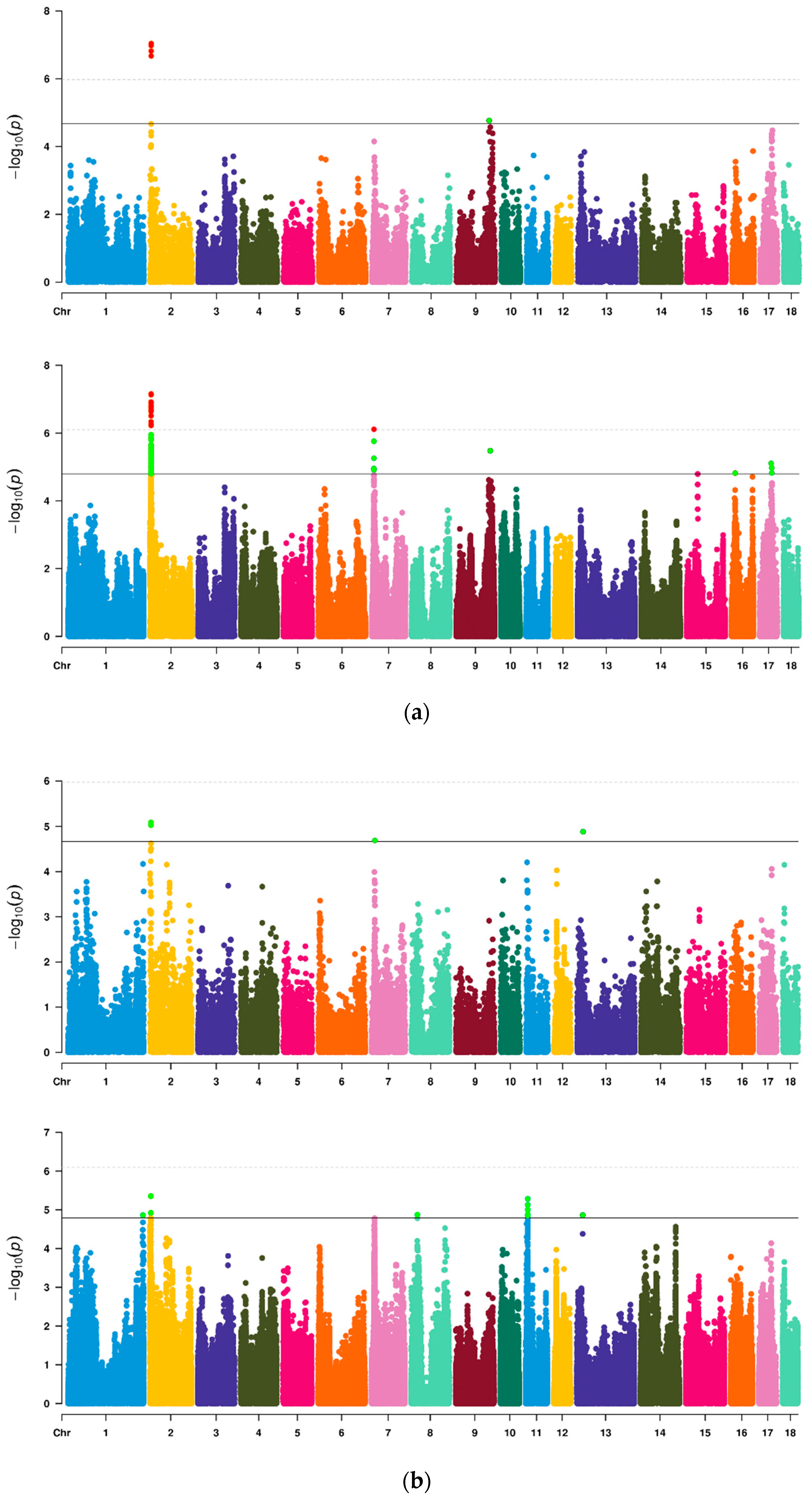 Genes 13 01294 g001a