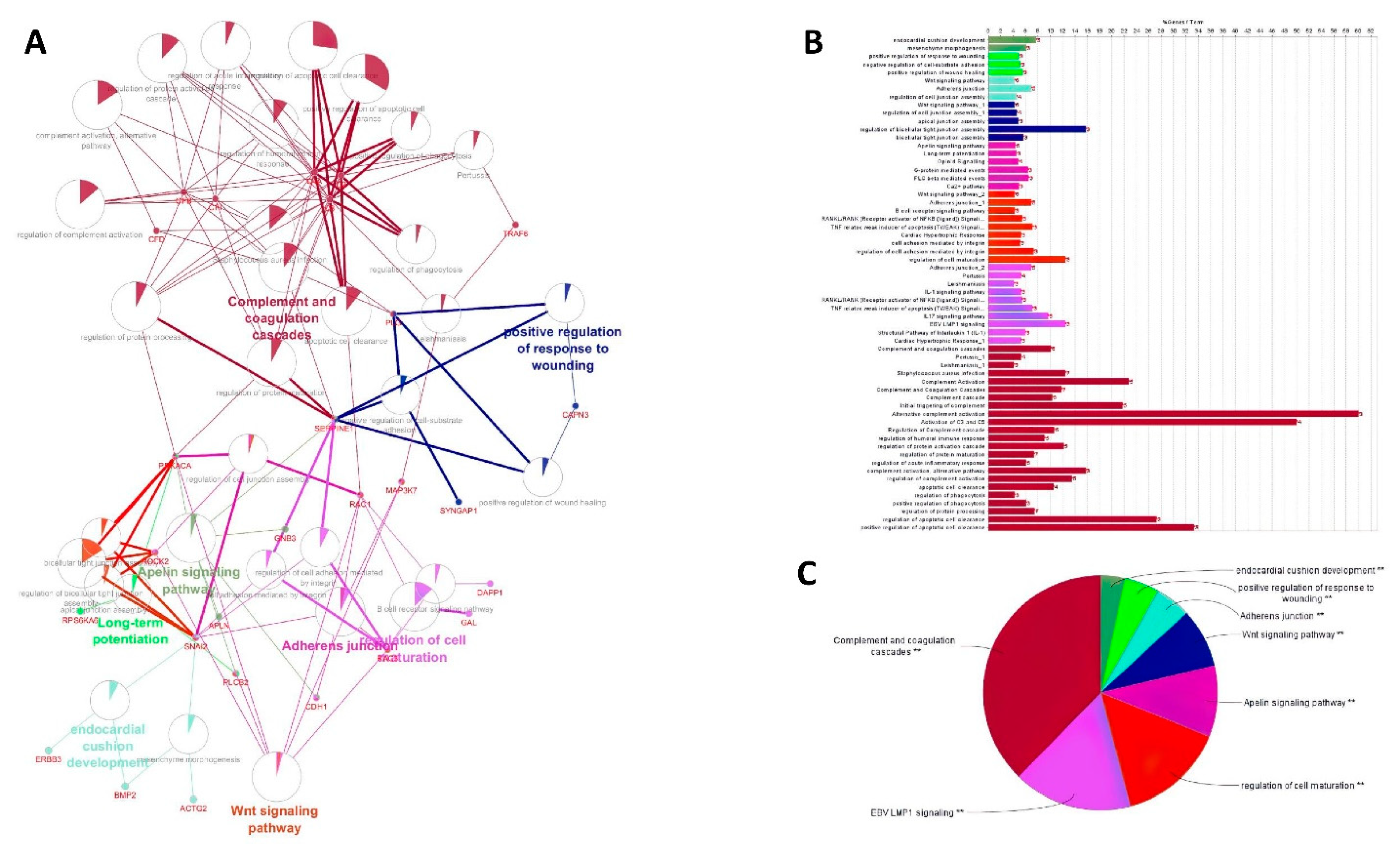Genes 13 01295 g003 Genes 13 01295 g003