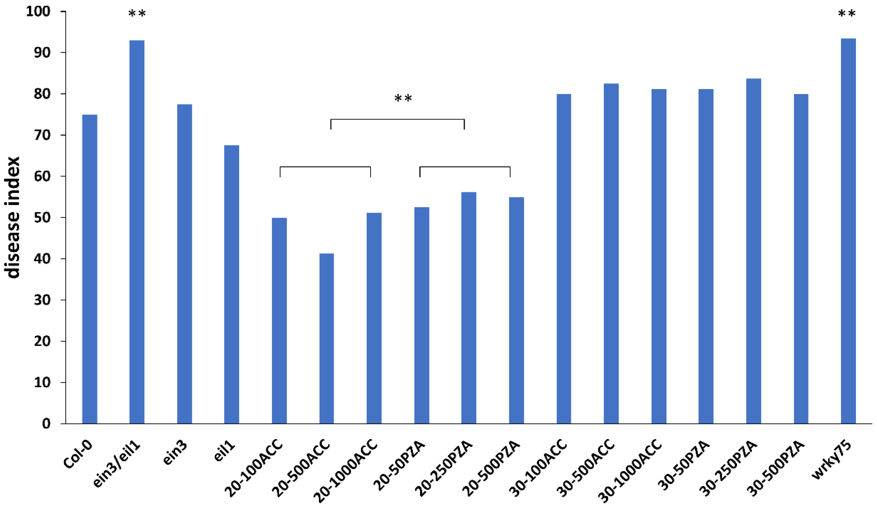 Genes 13 01299 g002 Genes 13 01299 g002