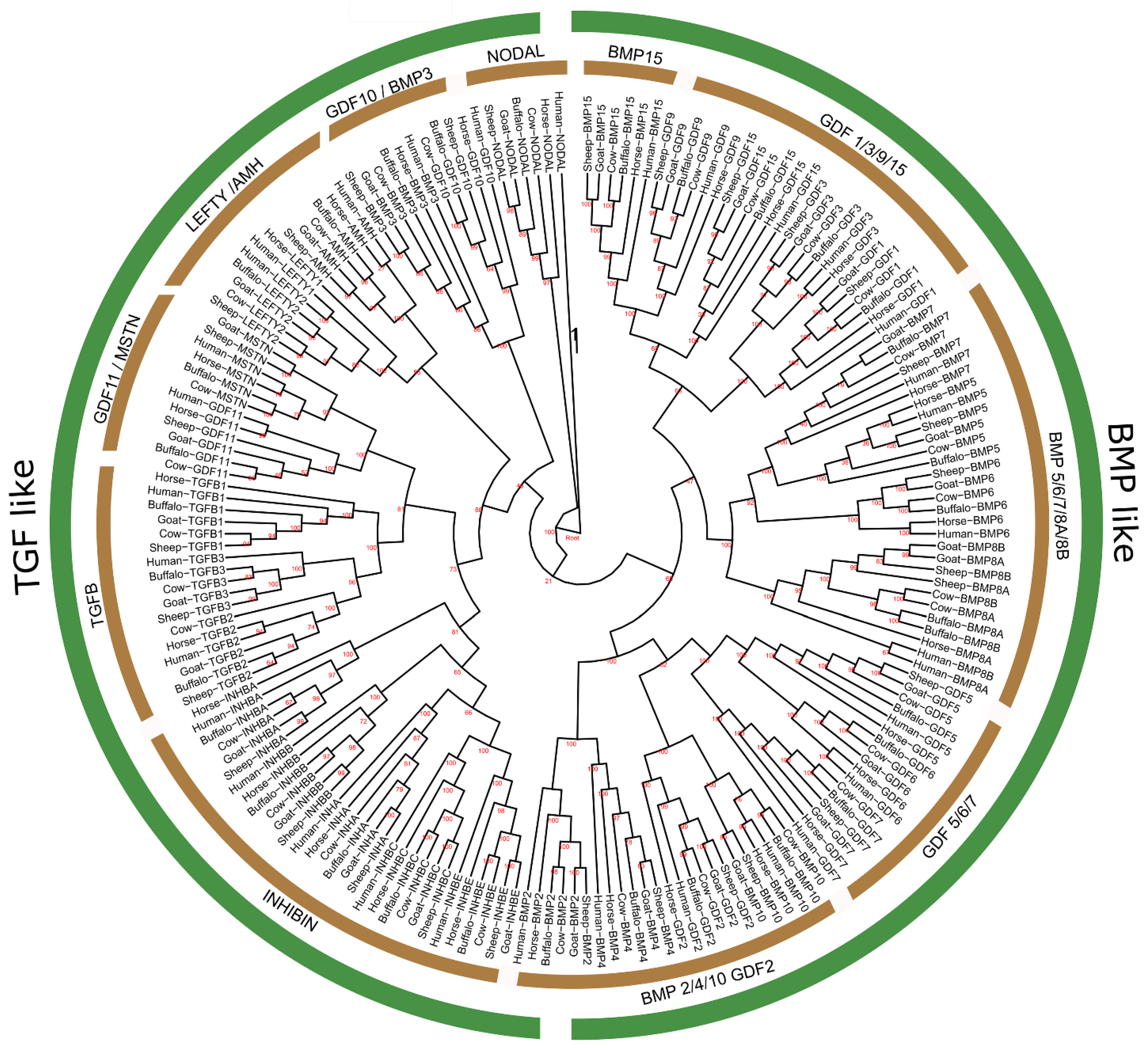 Genes 13 01302 g001 Genes 13 01302 g001