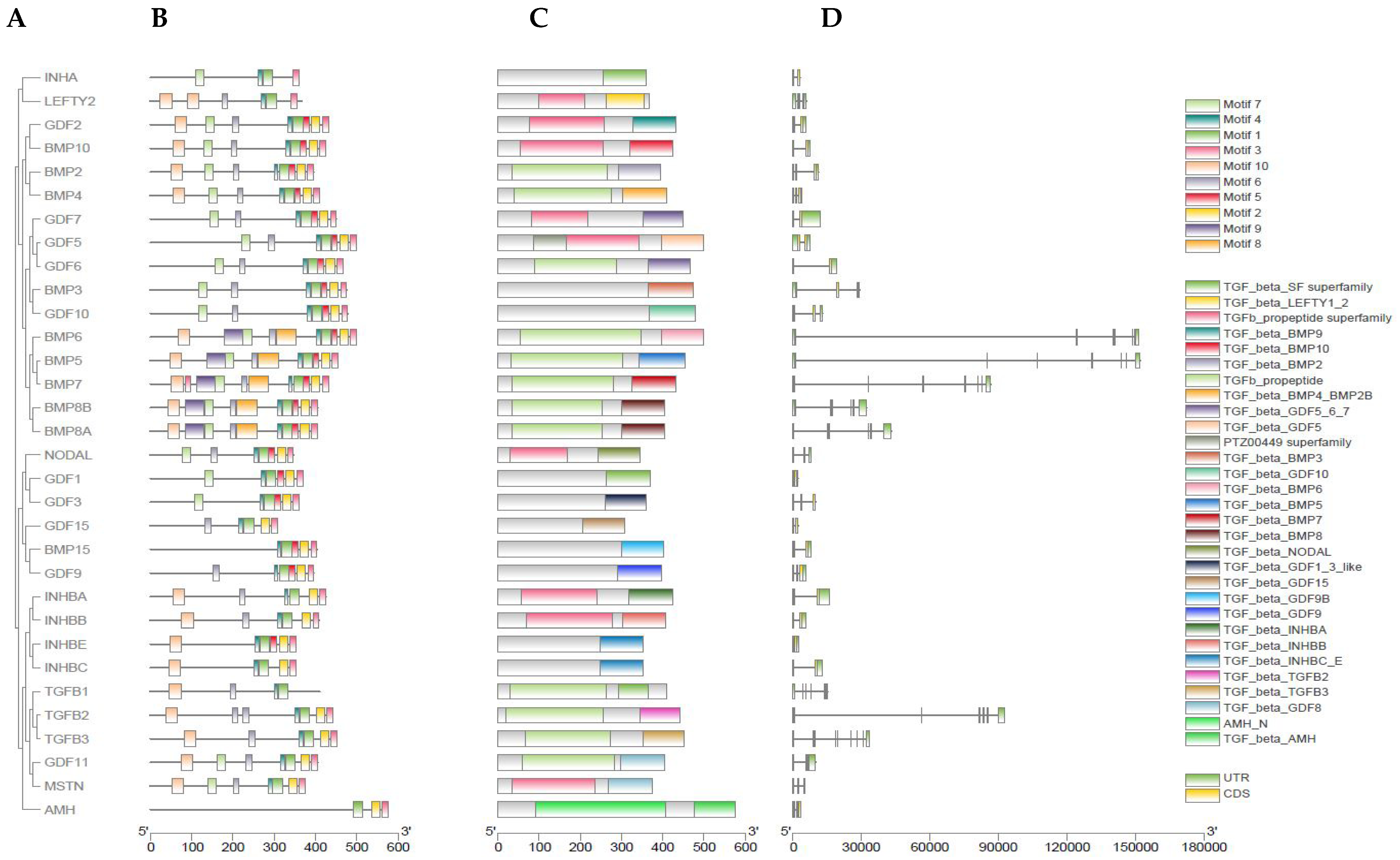 Genes 13 01302 g002 Genes 13 01302 g002