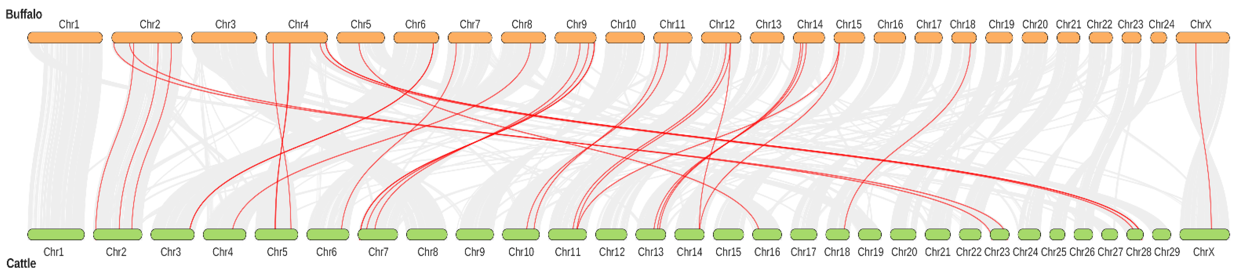 Genes 13 01302 g003 Genes 13 01302 g003