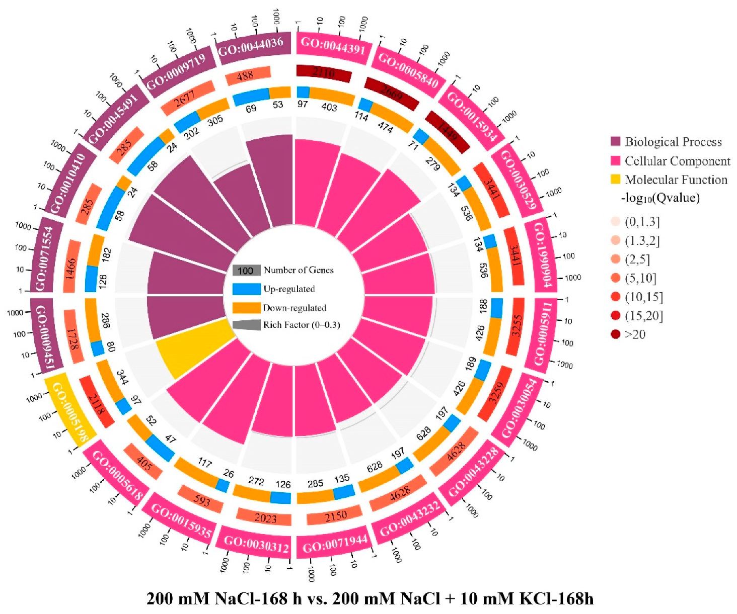 Genes 13 01313 g002a