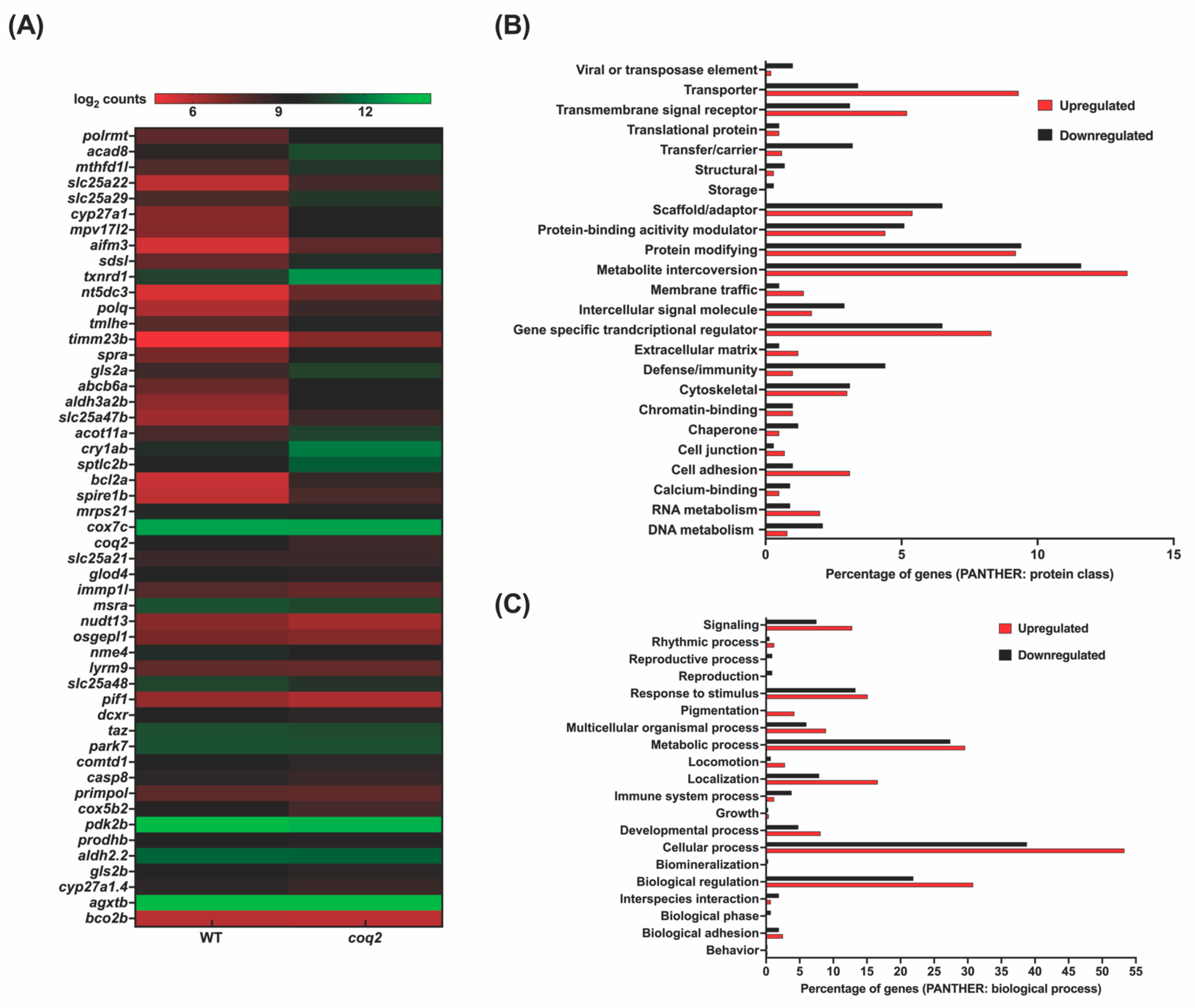 Genes 13 01317 g004 Genes 13 01317 g004
