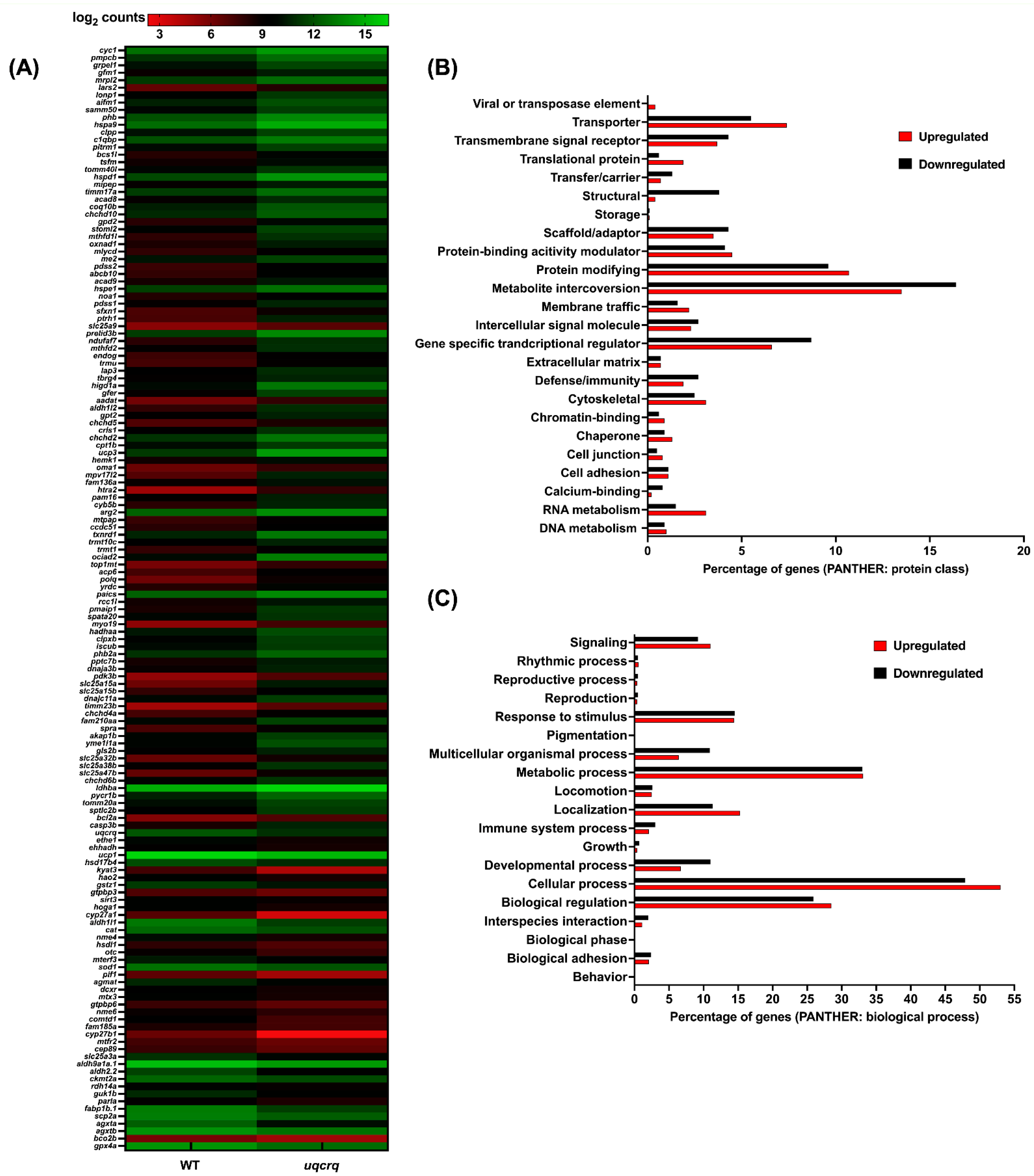 Genes 13 01317 g005 Genes 13 01317 g005