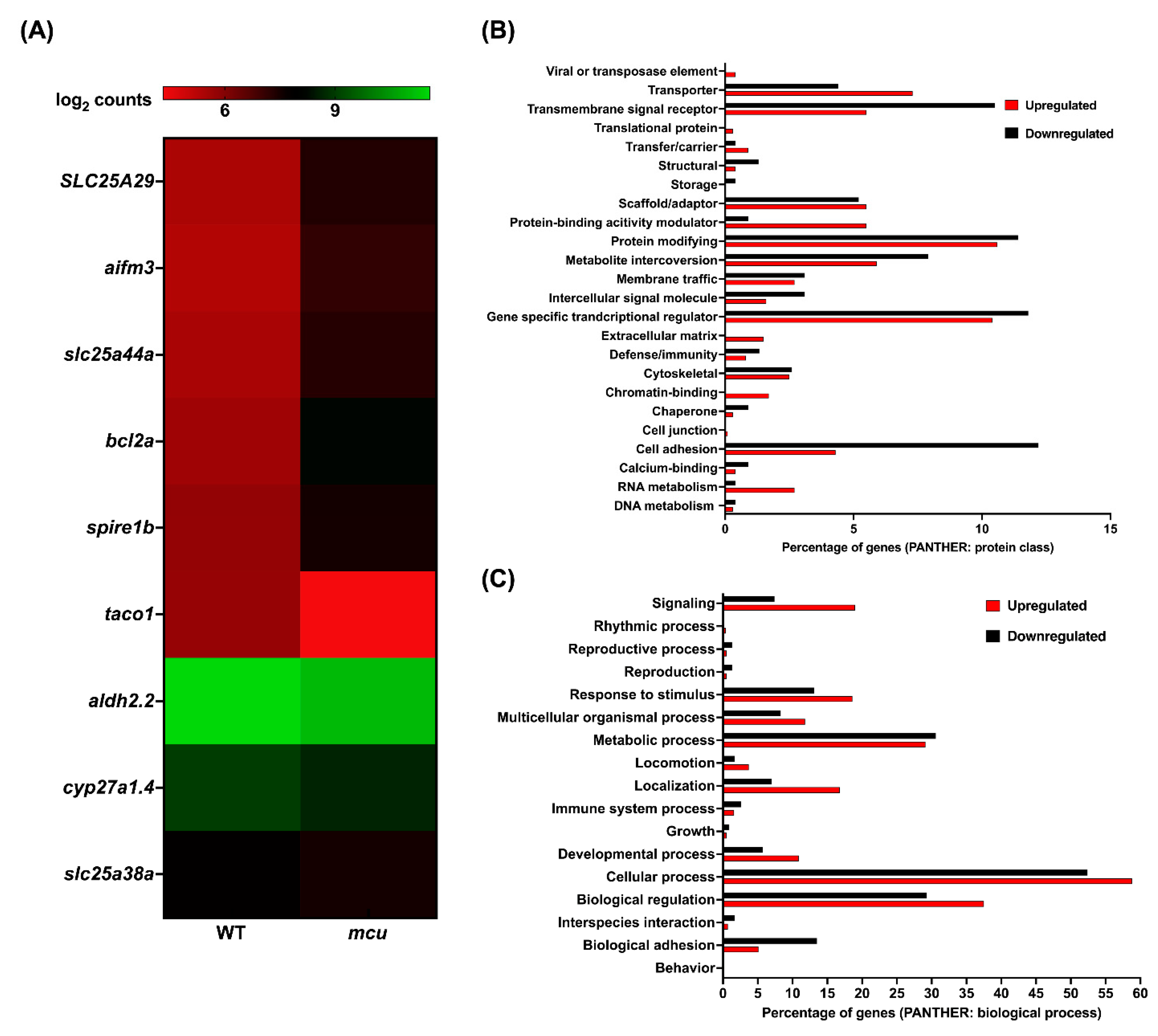 Genes 13 01317 g006 Genes 13 01317 g006