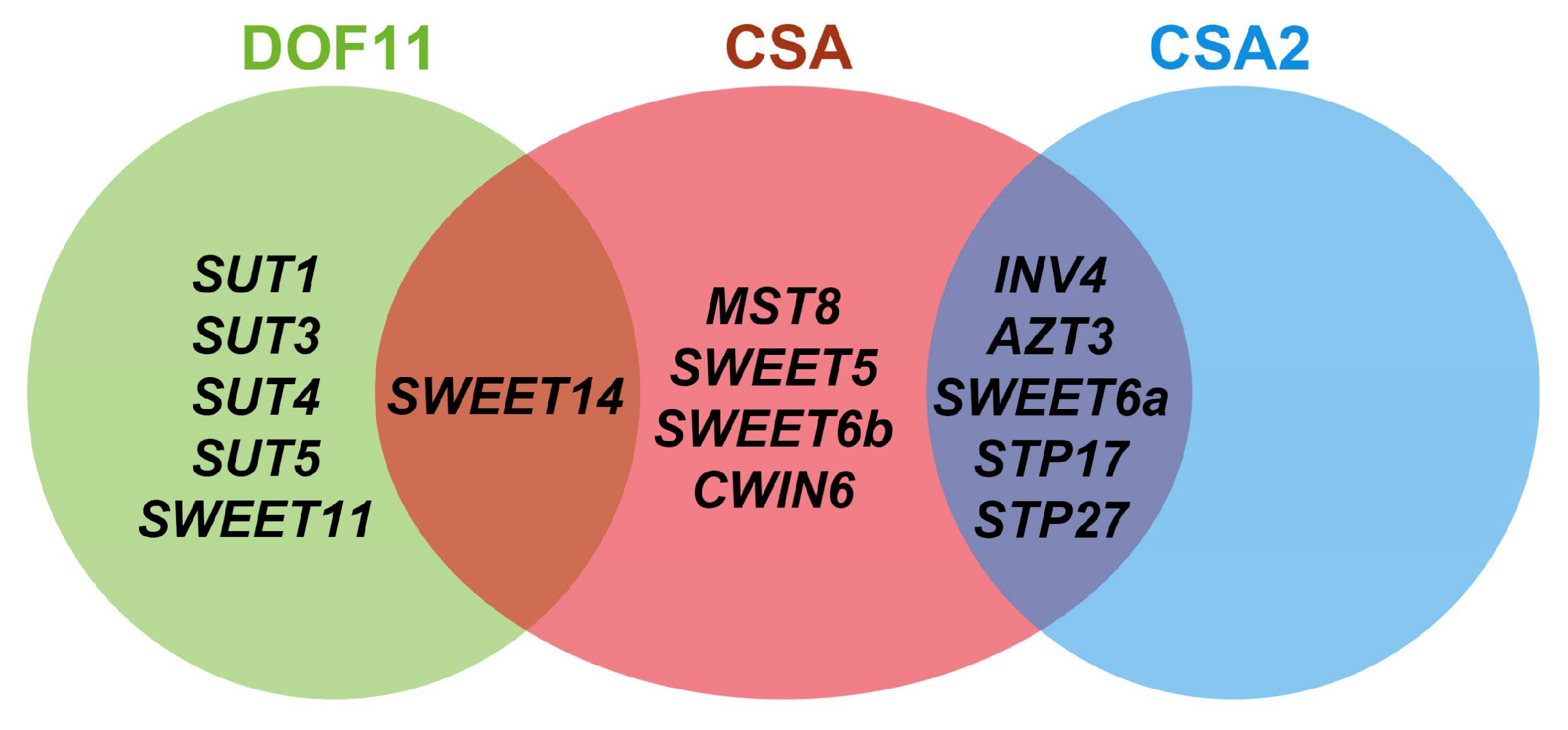 Genes 13 01323 g003 Genes 13 01323 g003