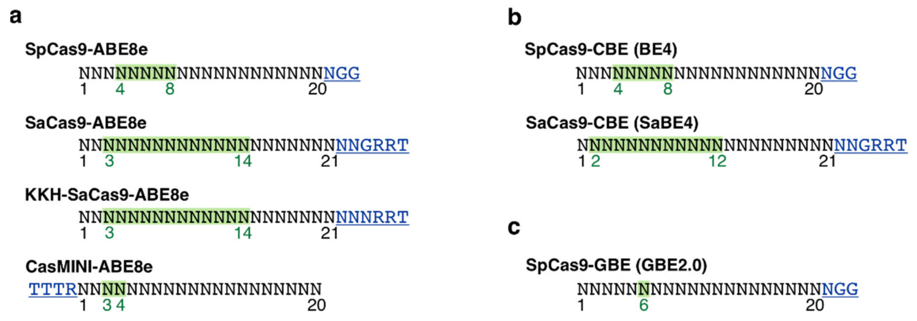 Genes 13 01327 g001 550