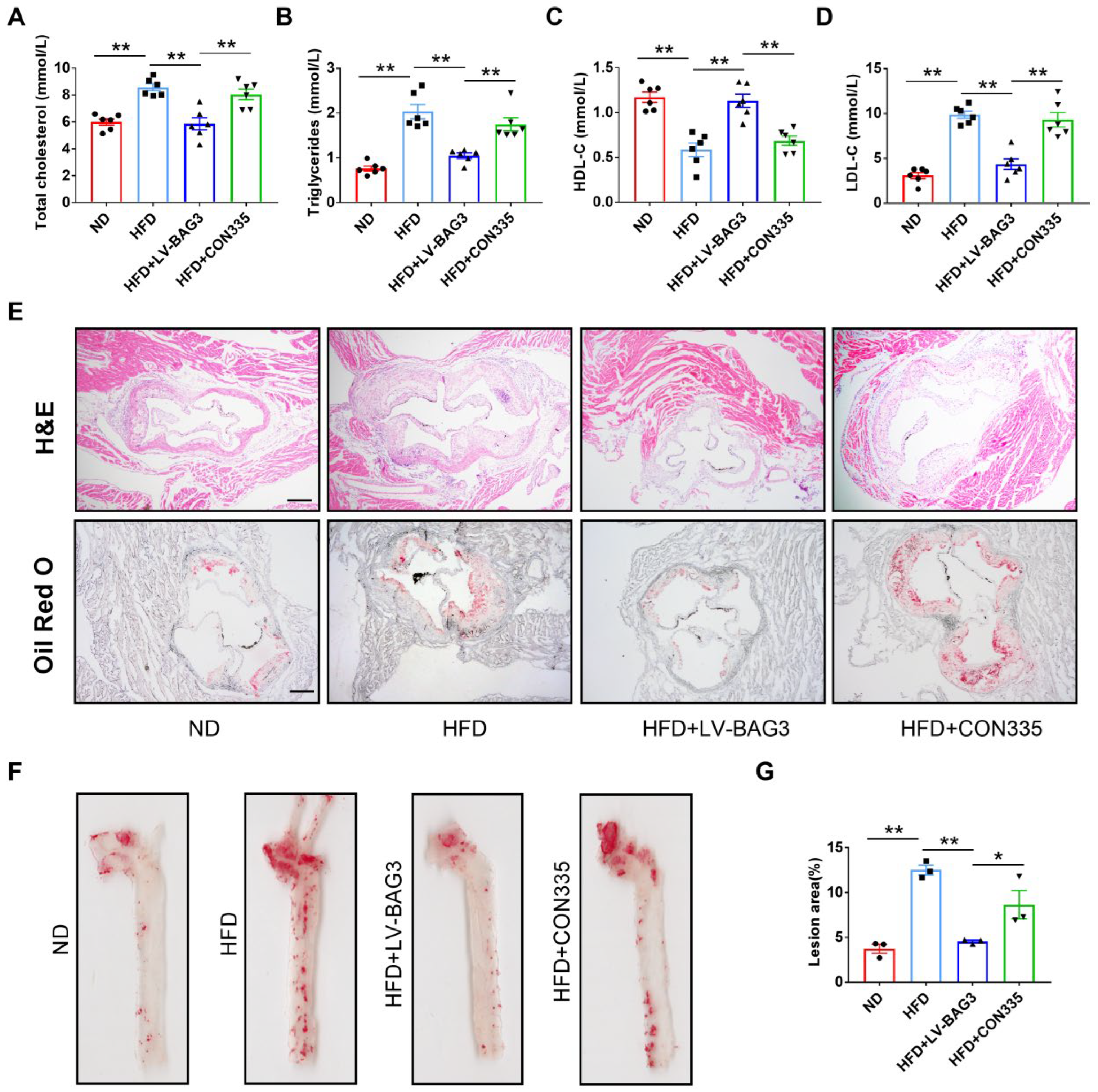 Genes 13 01338 g001 Genes 13 01338 g001