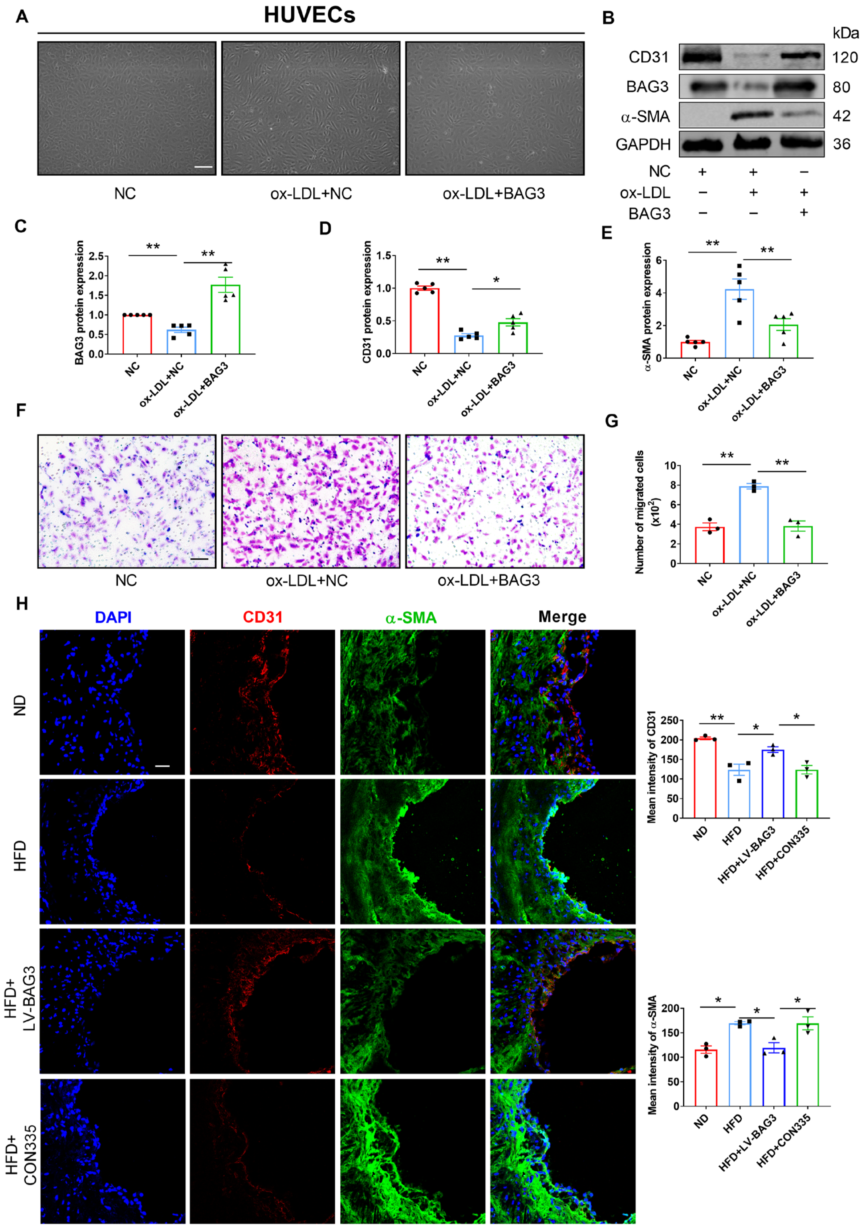 Genes 13 01338 g002 Genes 13 01338 g002