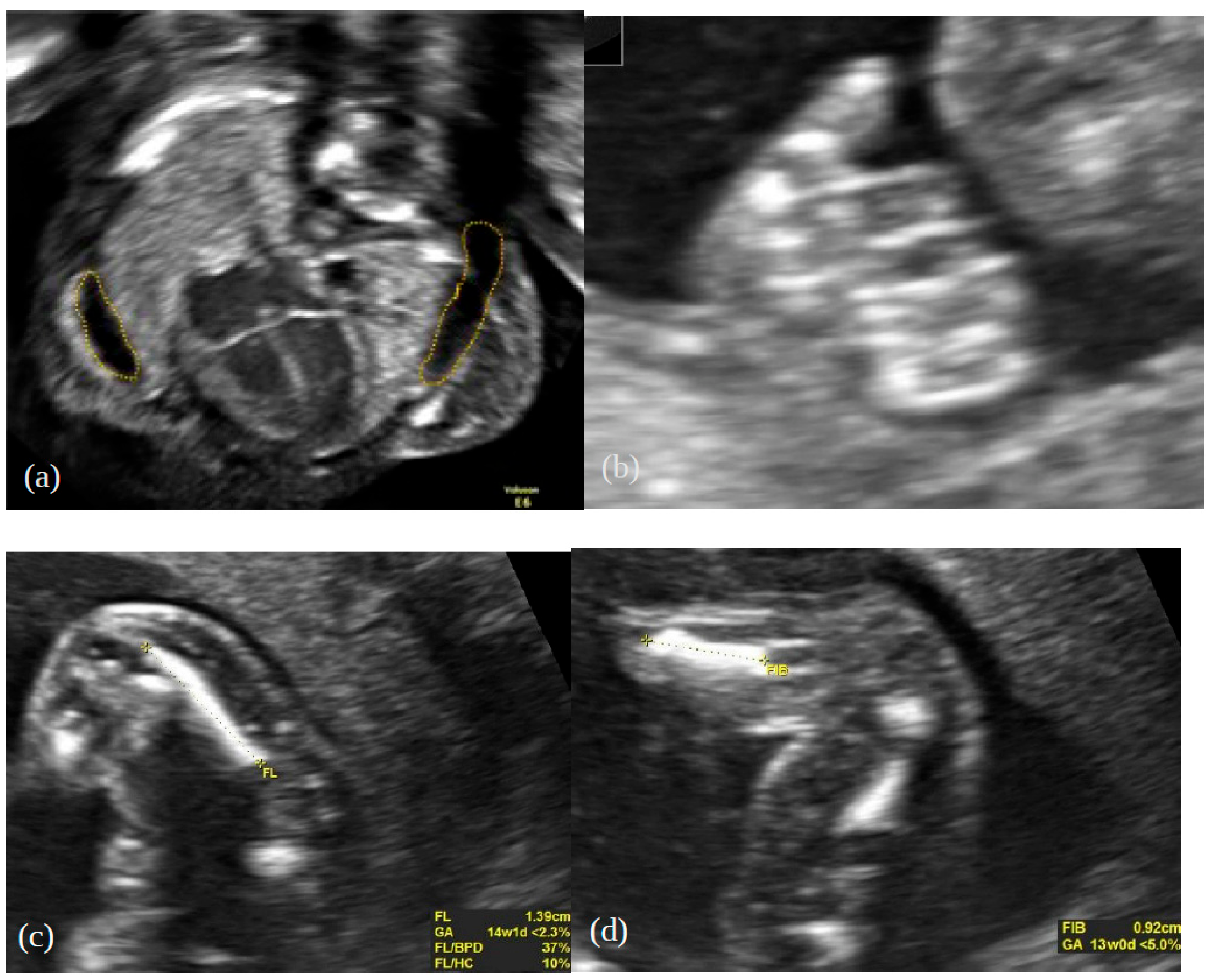 Genes 13 01339 g002 Genes 13 01339 g002
