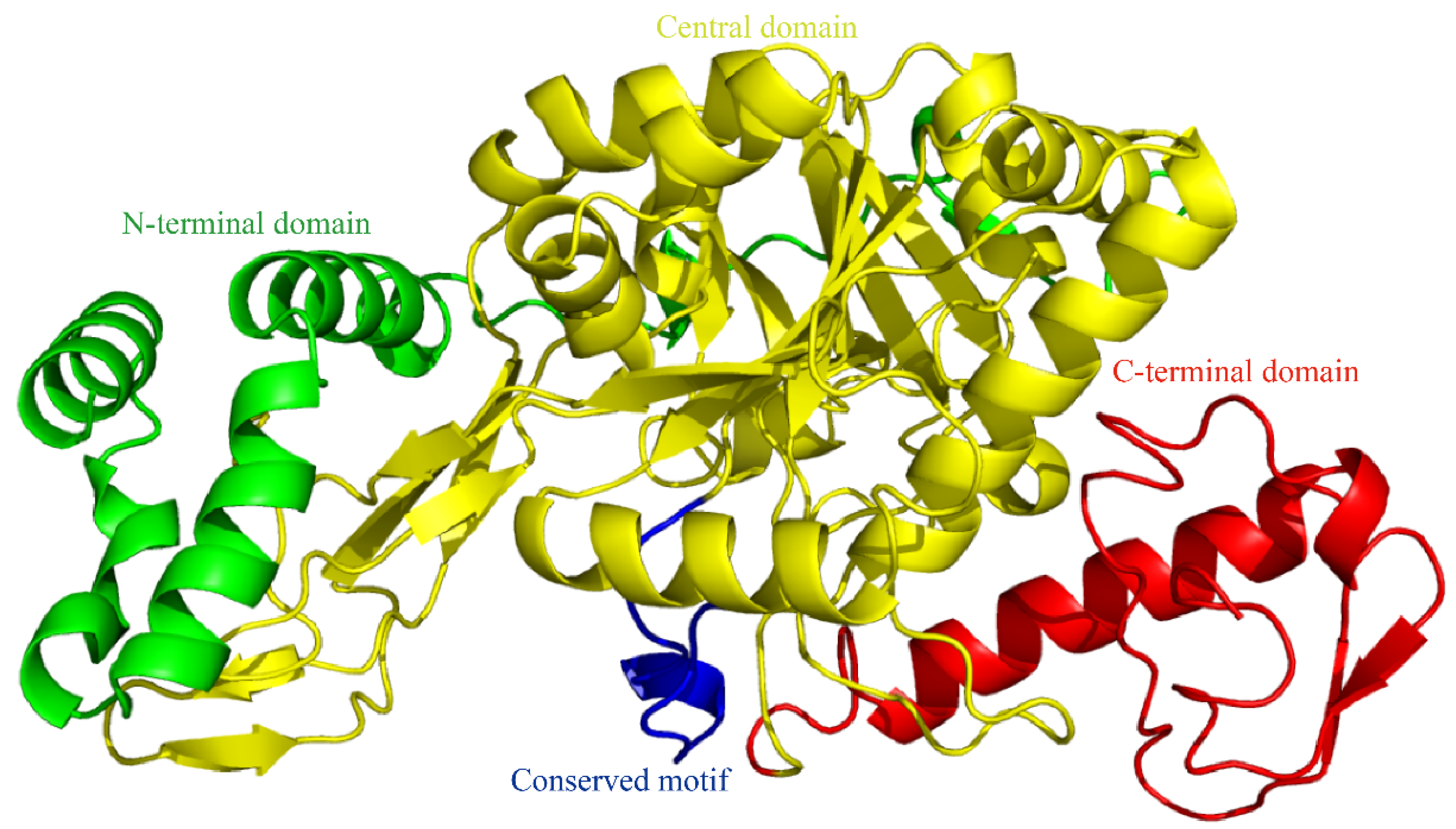 Genes 13 01340 g002 Genes 13 01340 g002