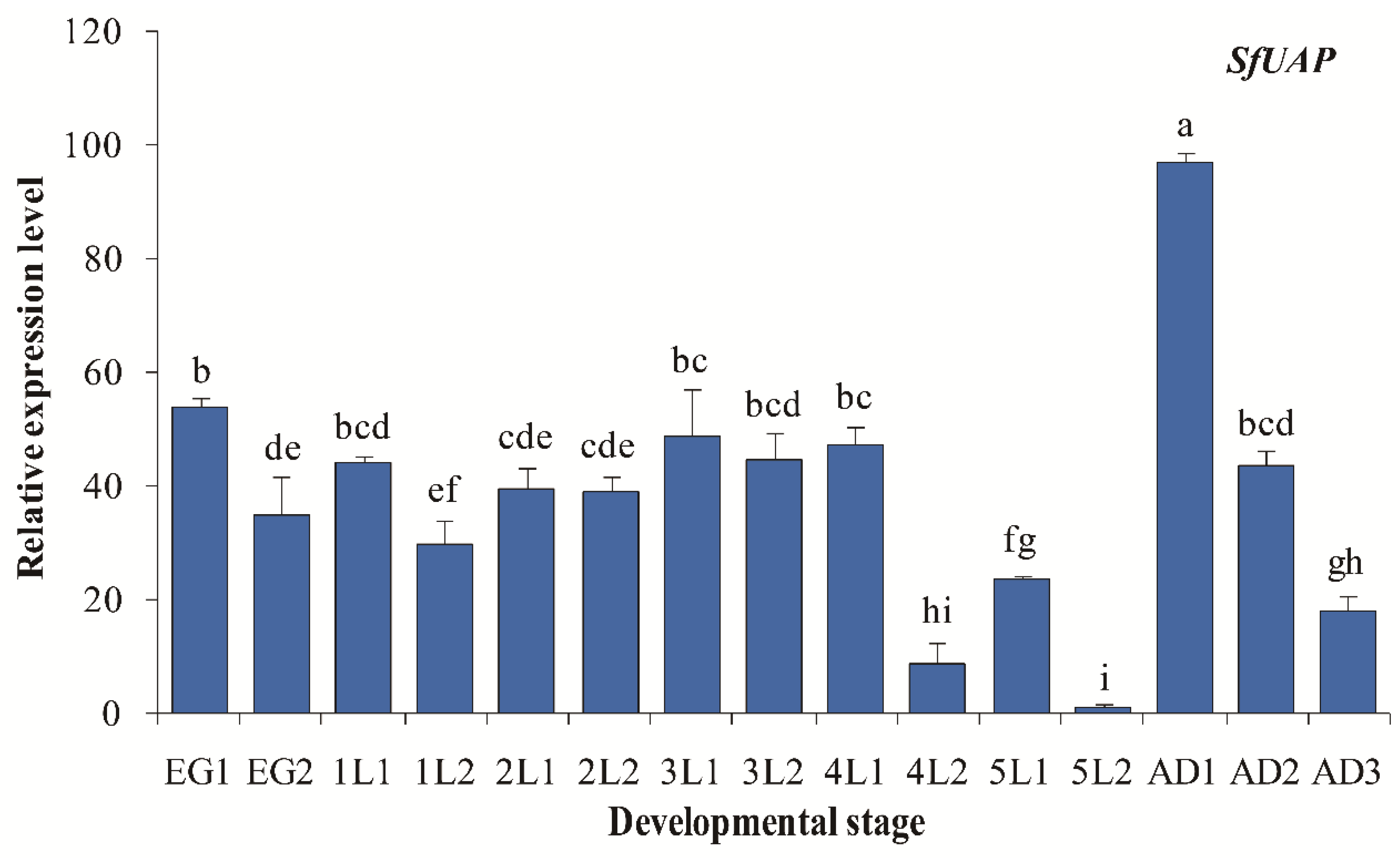 Genes 13 01340 g004 Genes 13 01340 g004