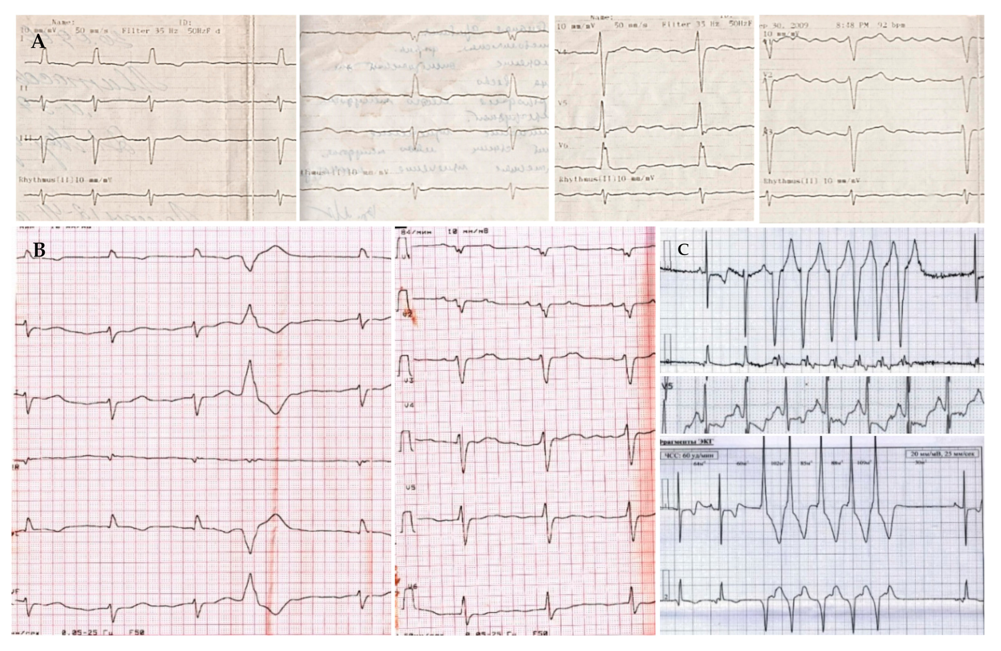Genes 13 01344 g001 550