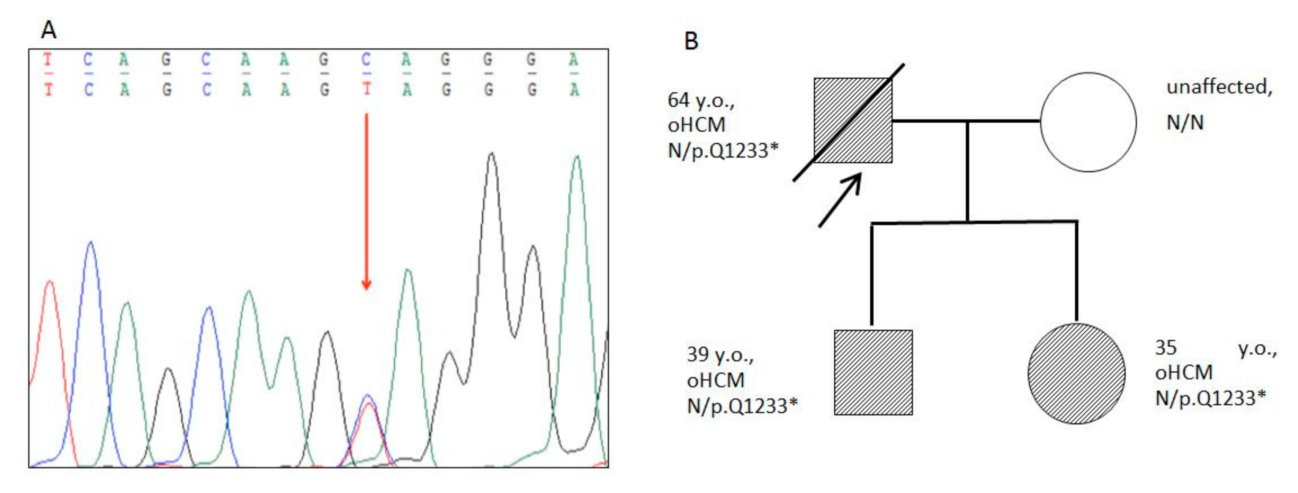 Genes 13 01344 g004 550