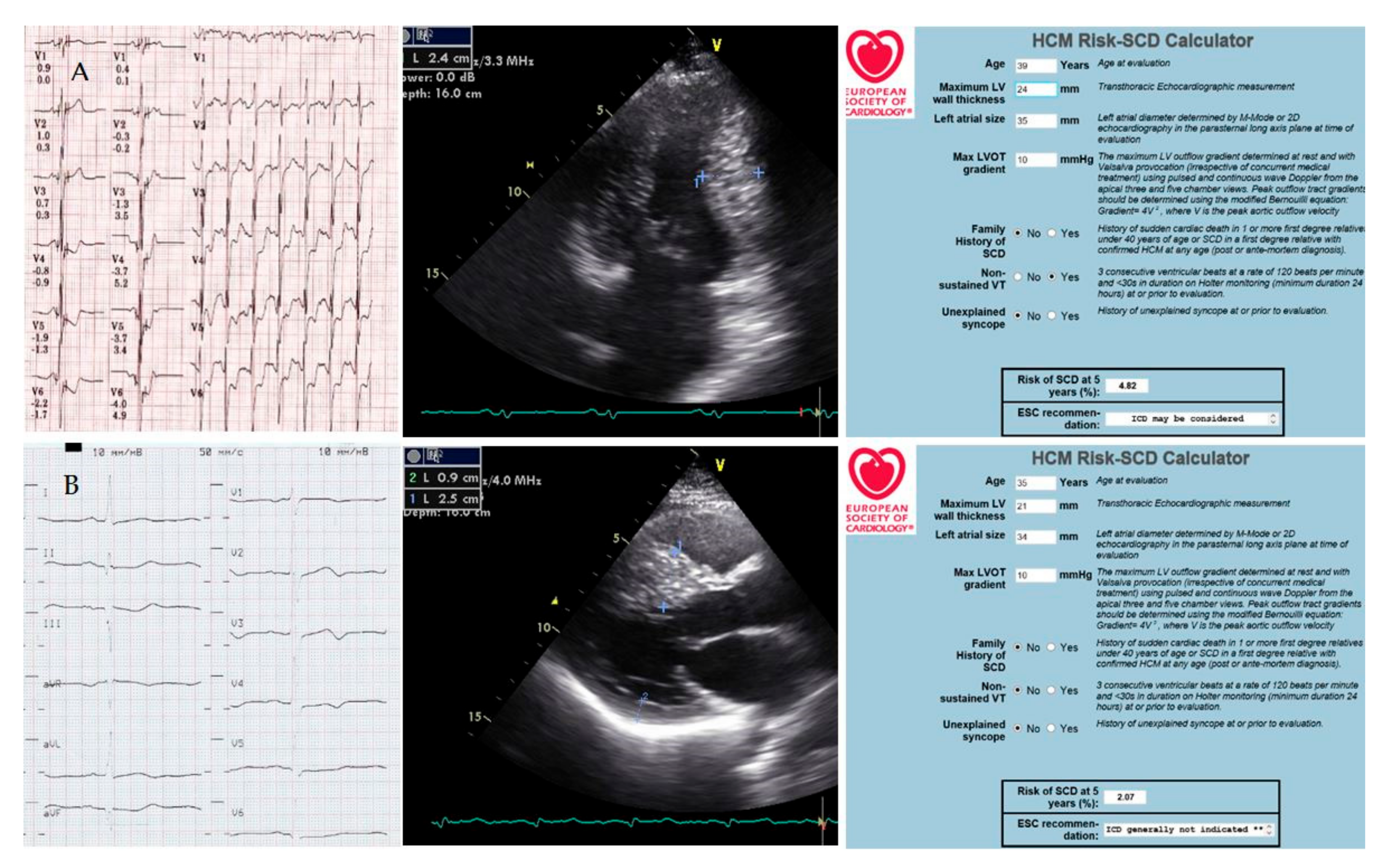 Genes 13 01344 g005 550