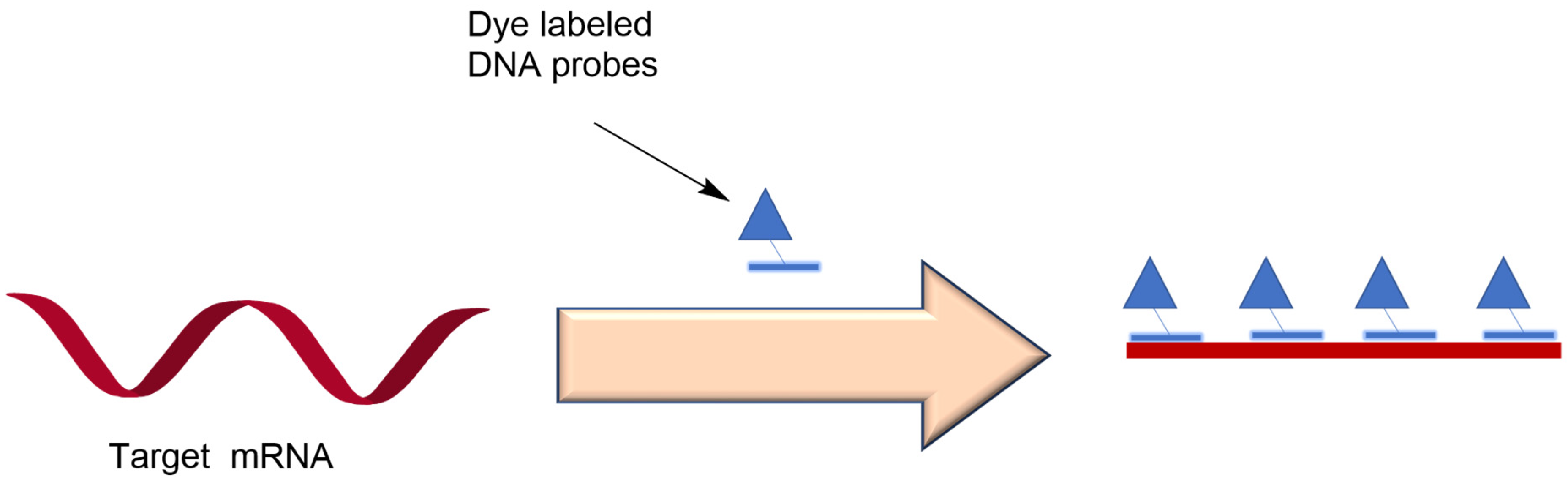 Genes 13 01348 g001 Genes 13 01348 g001