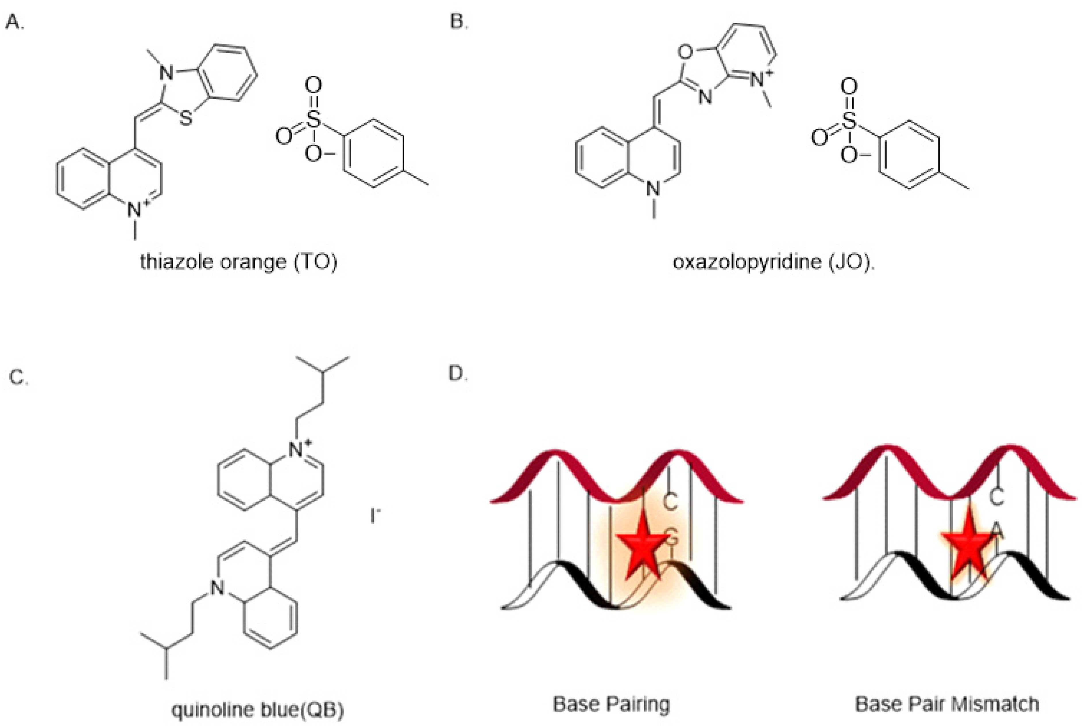Genes 13 01348 g006 Genes 13 01348 g006