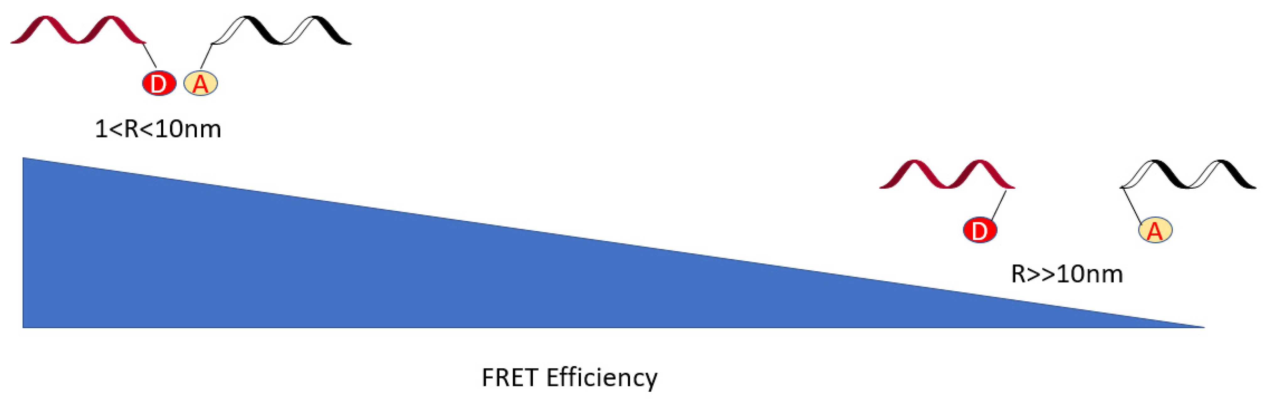 Genes 13 01348 g009 Genes 13 01348 g009