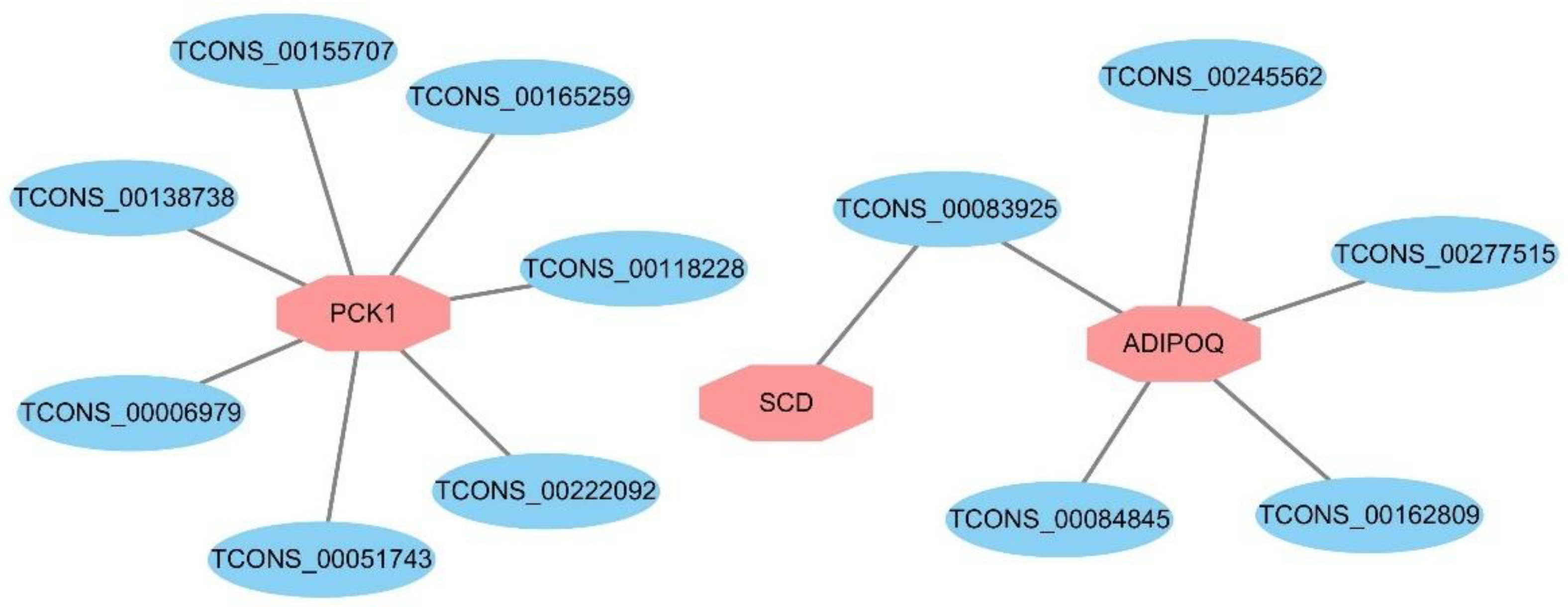 Genes 13 01349 g004 550