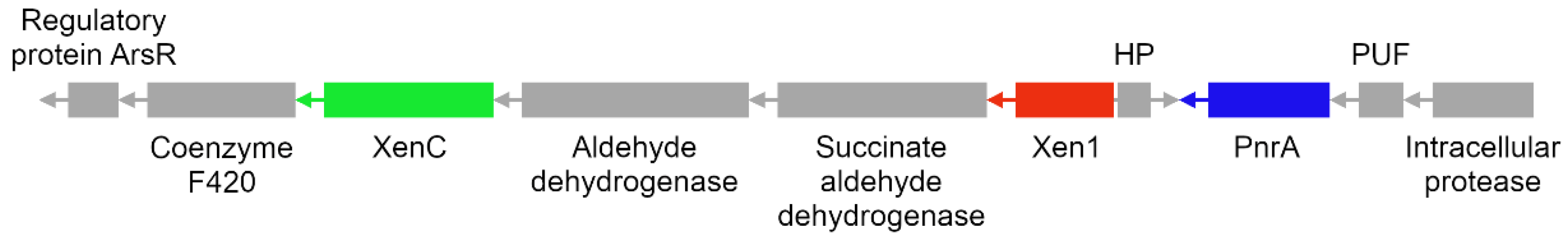 Genes 13 01354 g005 550