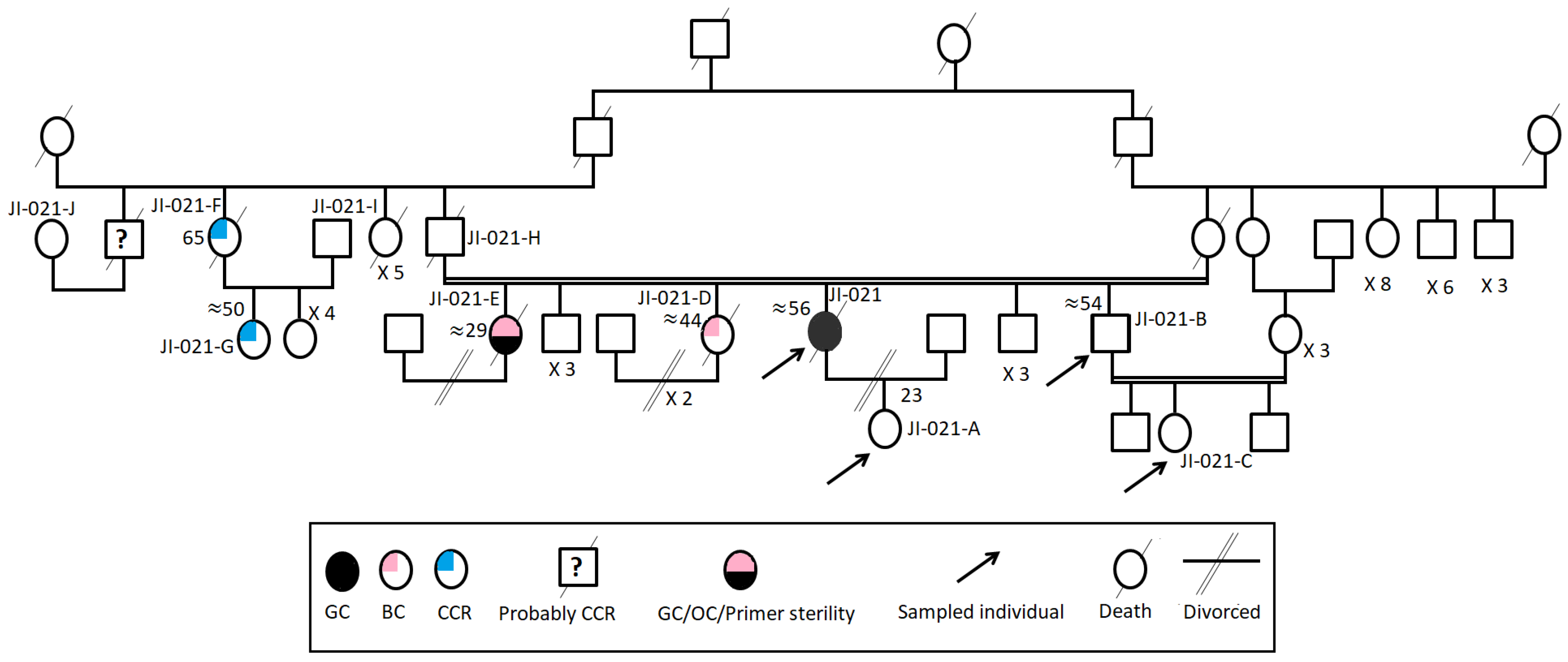 Genes 13 01355 g001 Genes 13 01355 g001