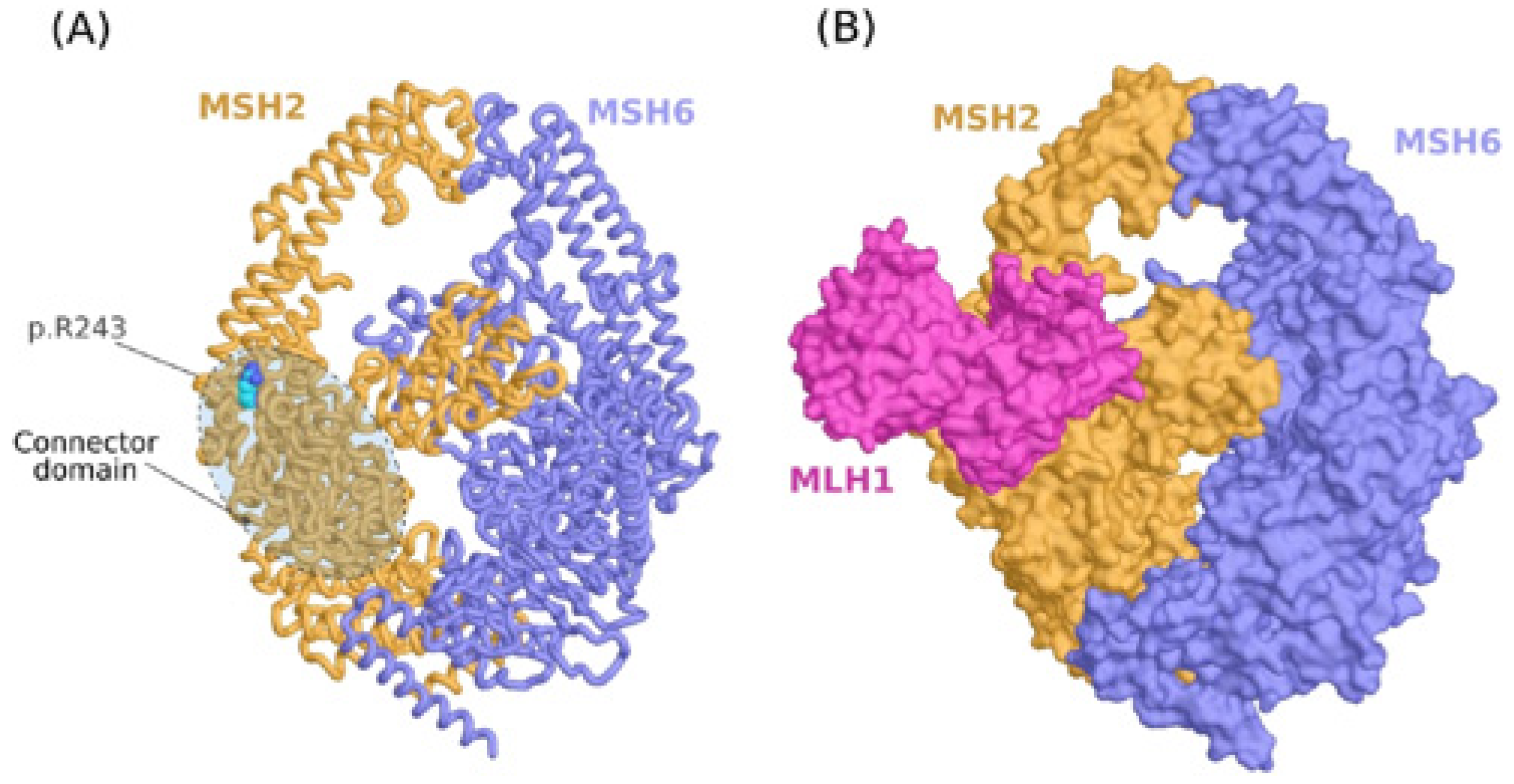 Genes 13 01355 g004 Genes 13 01355 g004