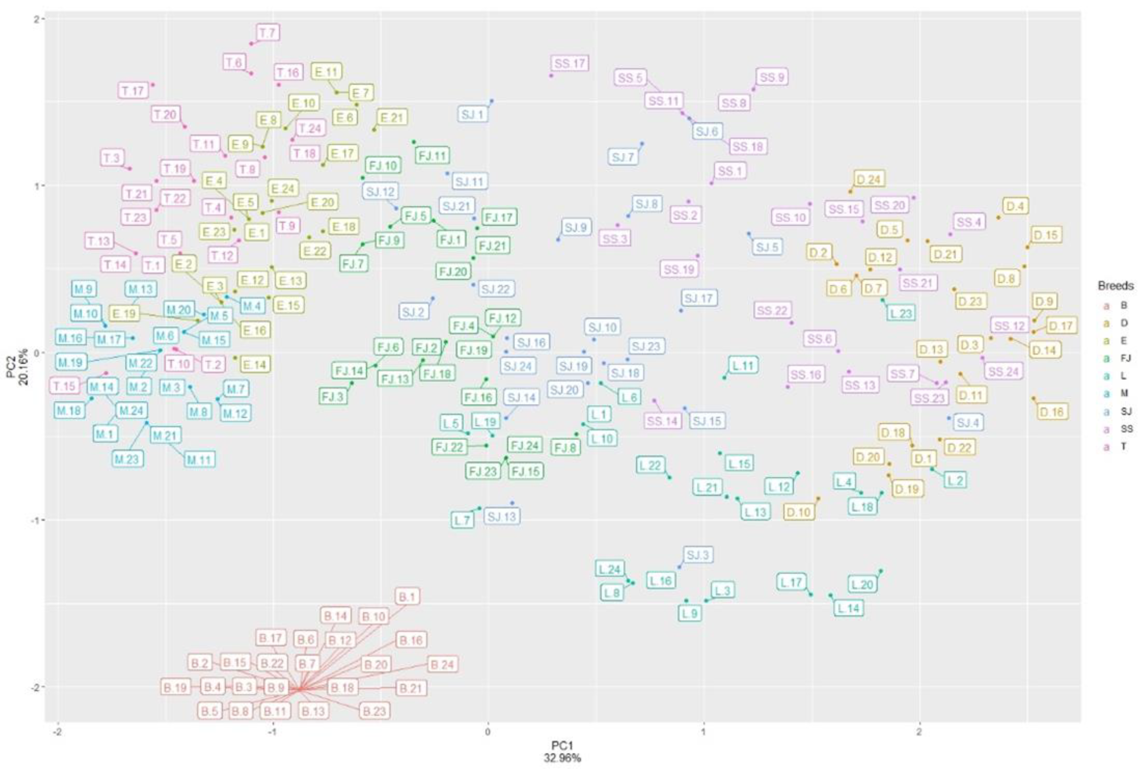 Genes 13 01359 g002 Genes 13 01359 g002