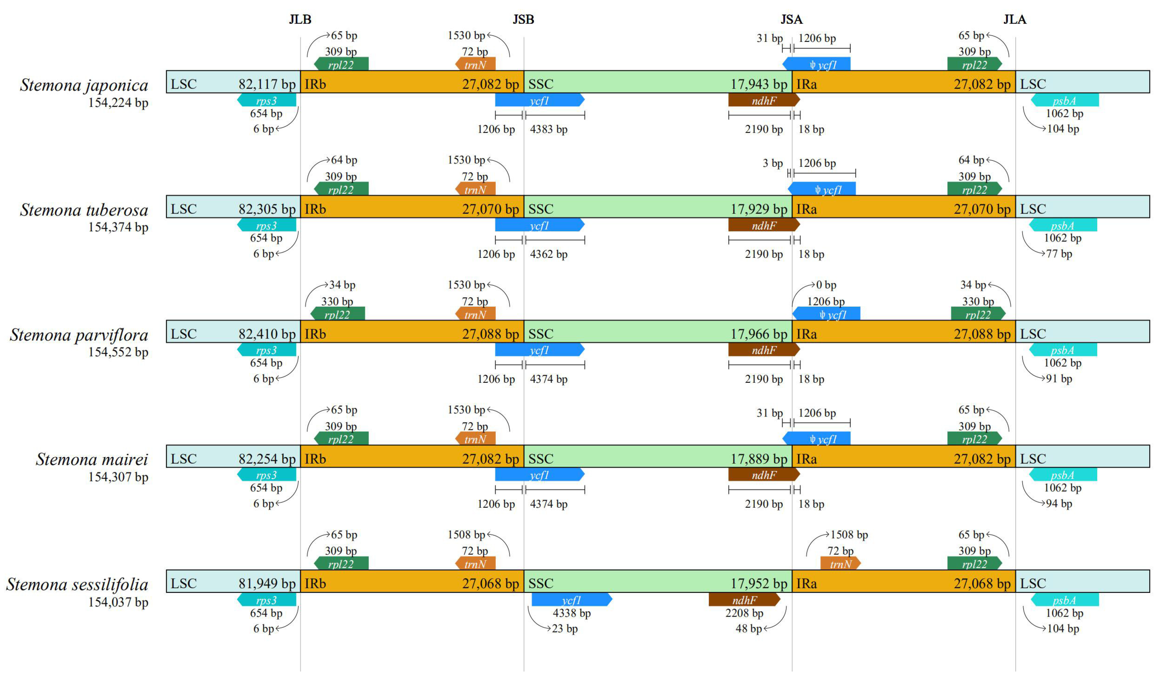 Genes 13 01361 g004