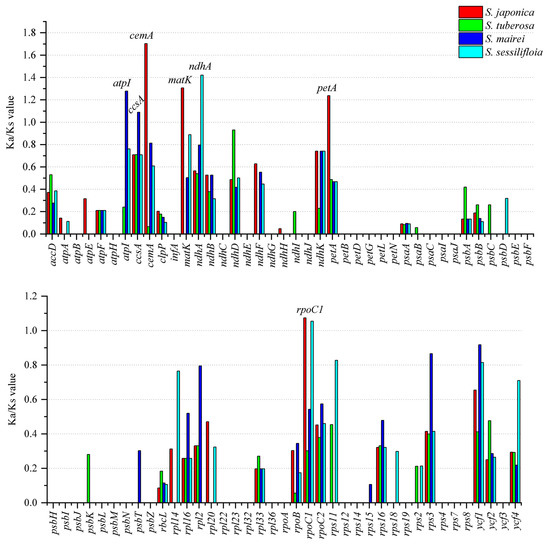 The Complete Chloroplast Genome of Endangered Species Stemona