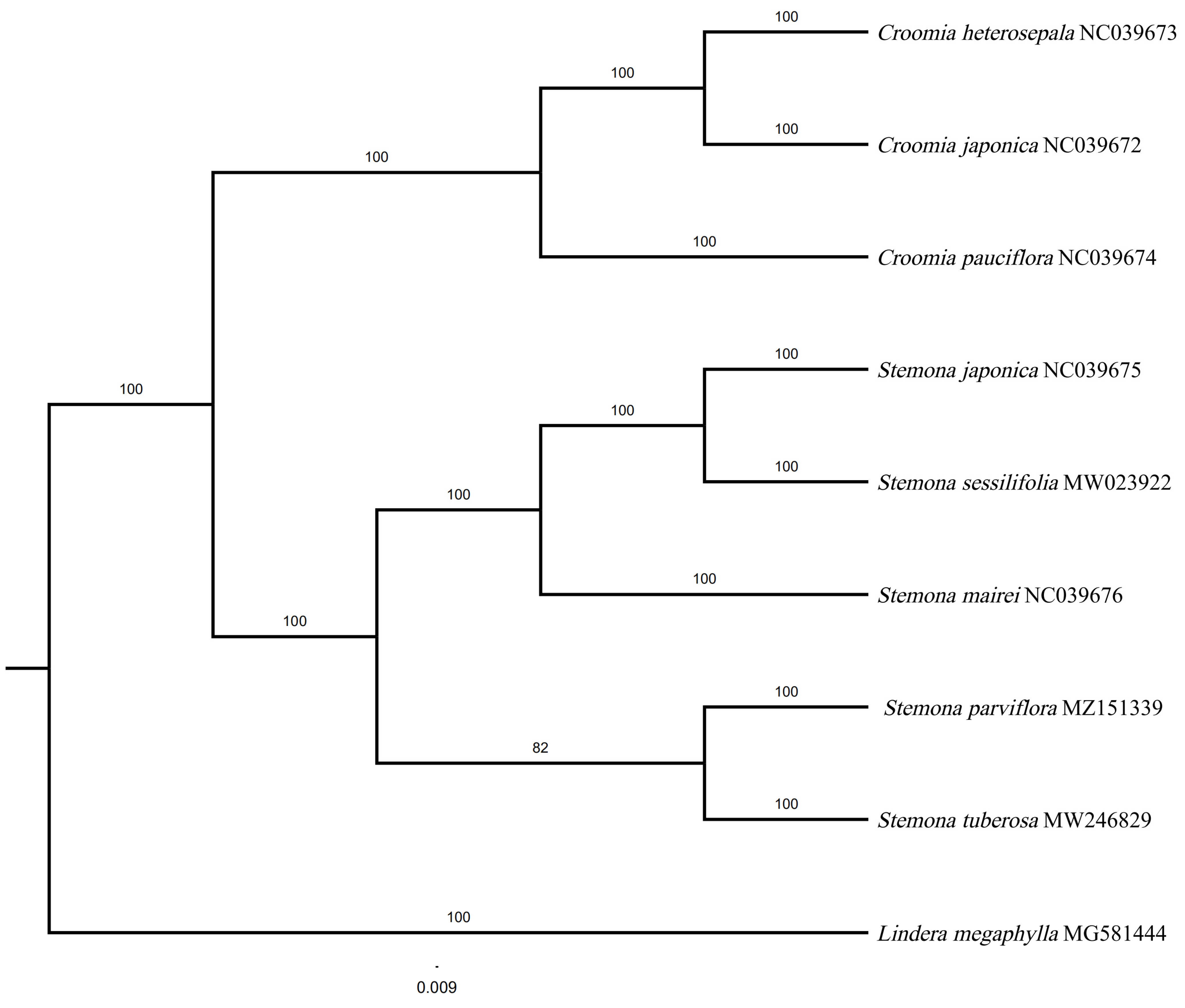 Genes 13 01361 g007