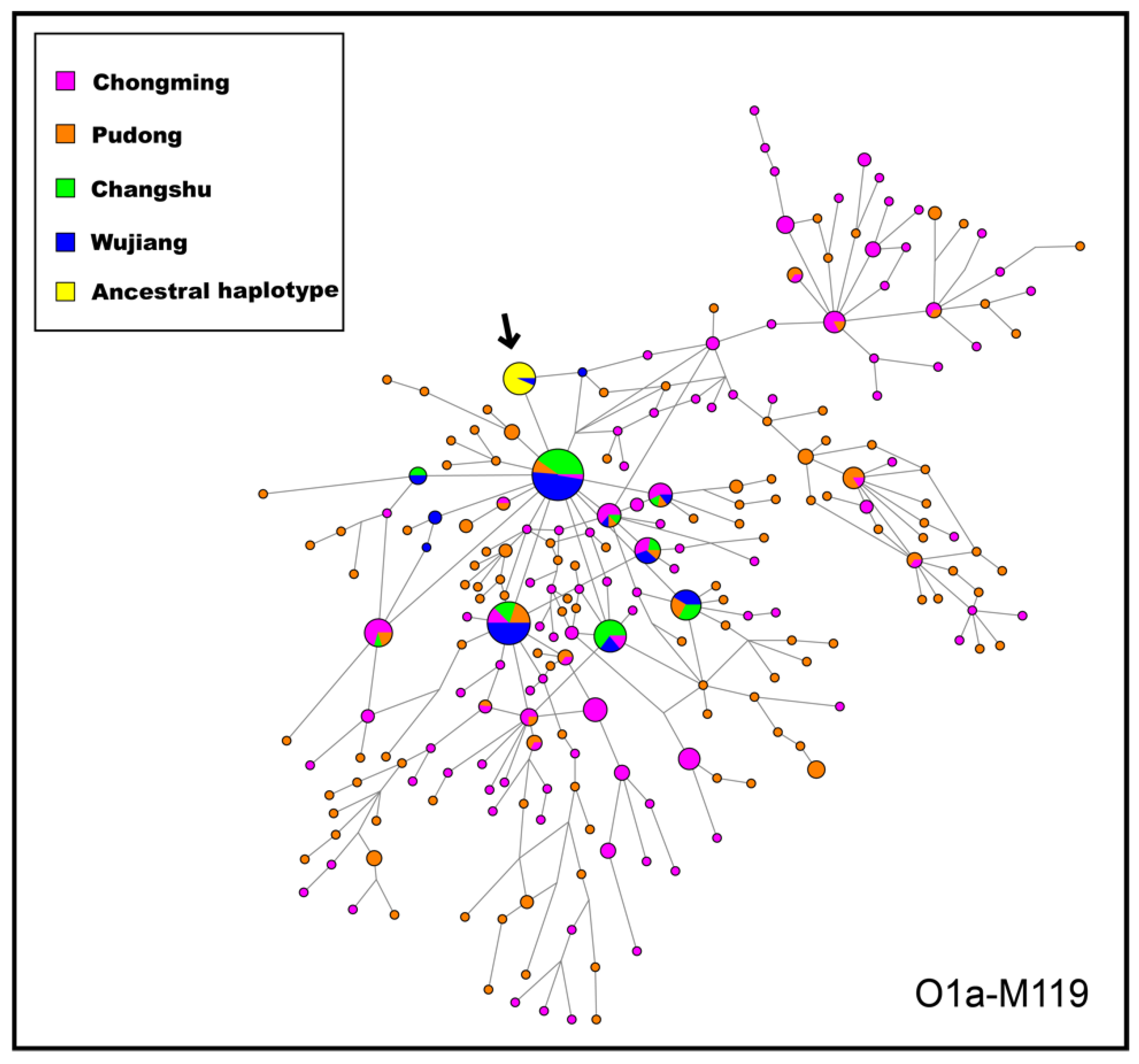 Genes 13 01363 g007