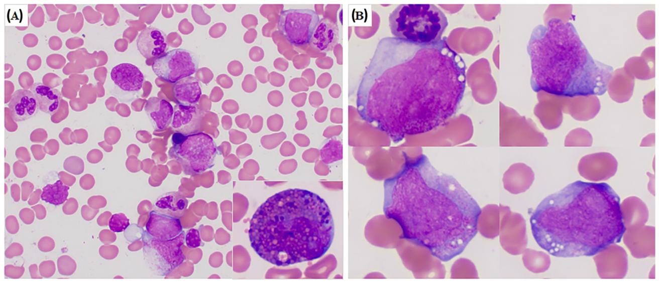 Genes 13 01367 g001 Genes 13 01367 g001