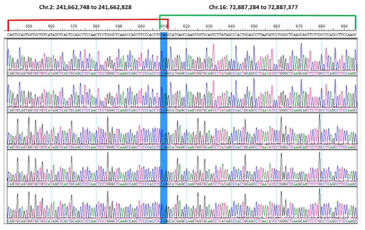 Genes 13 01367 g004 Genes 13 01367 g004