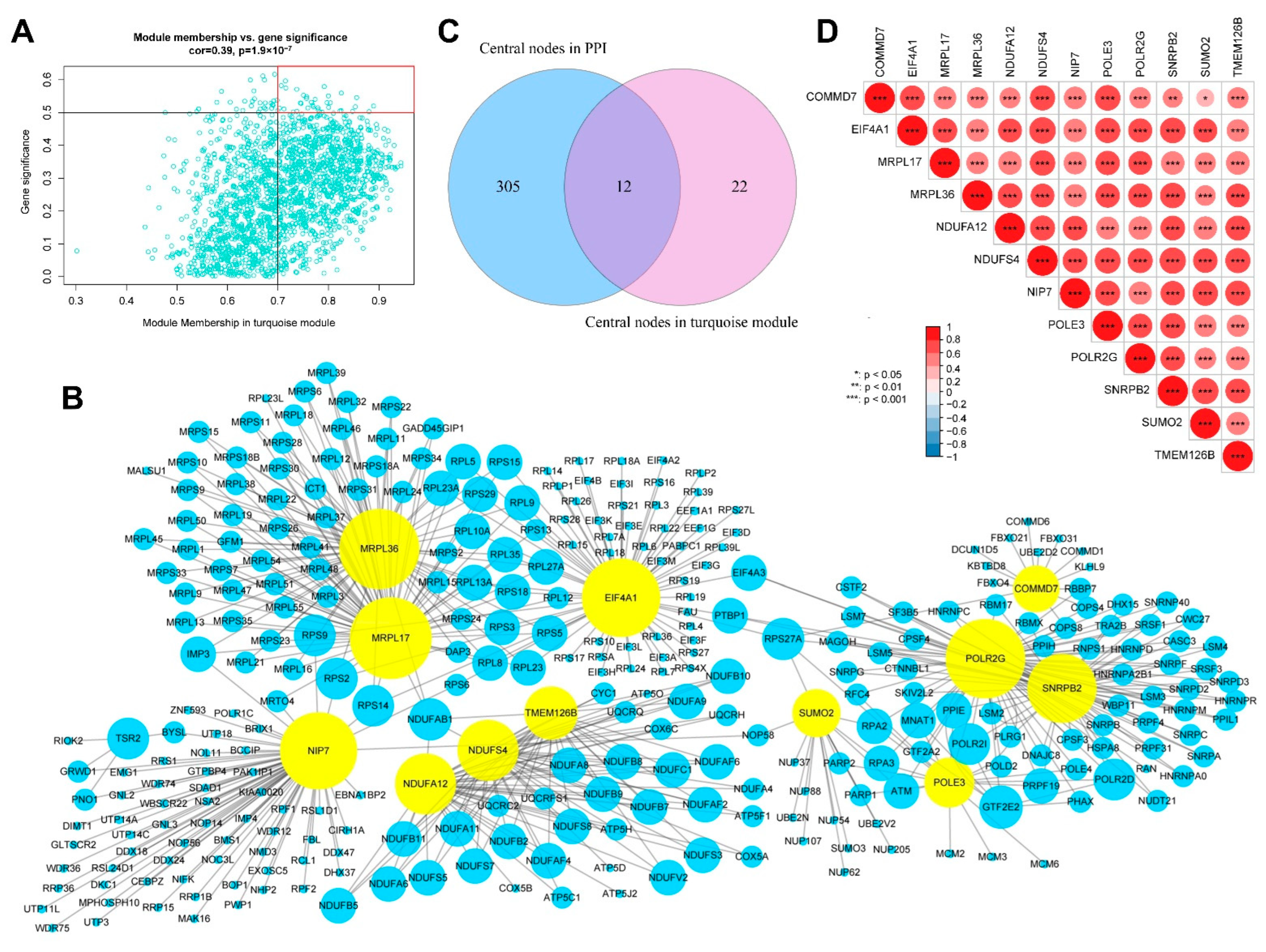 Genes 13 01373 g007