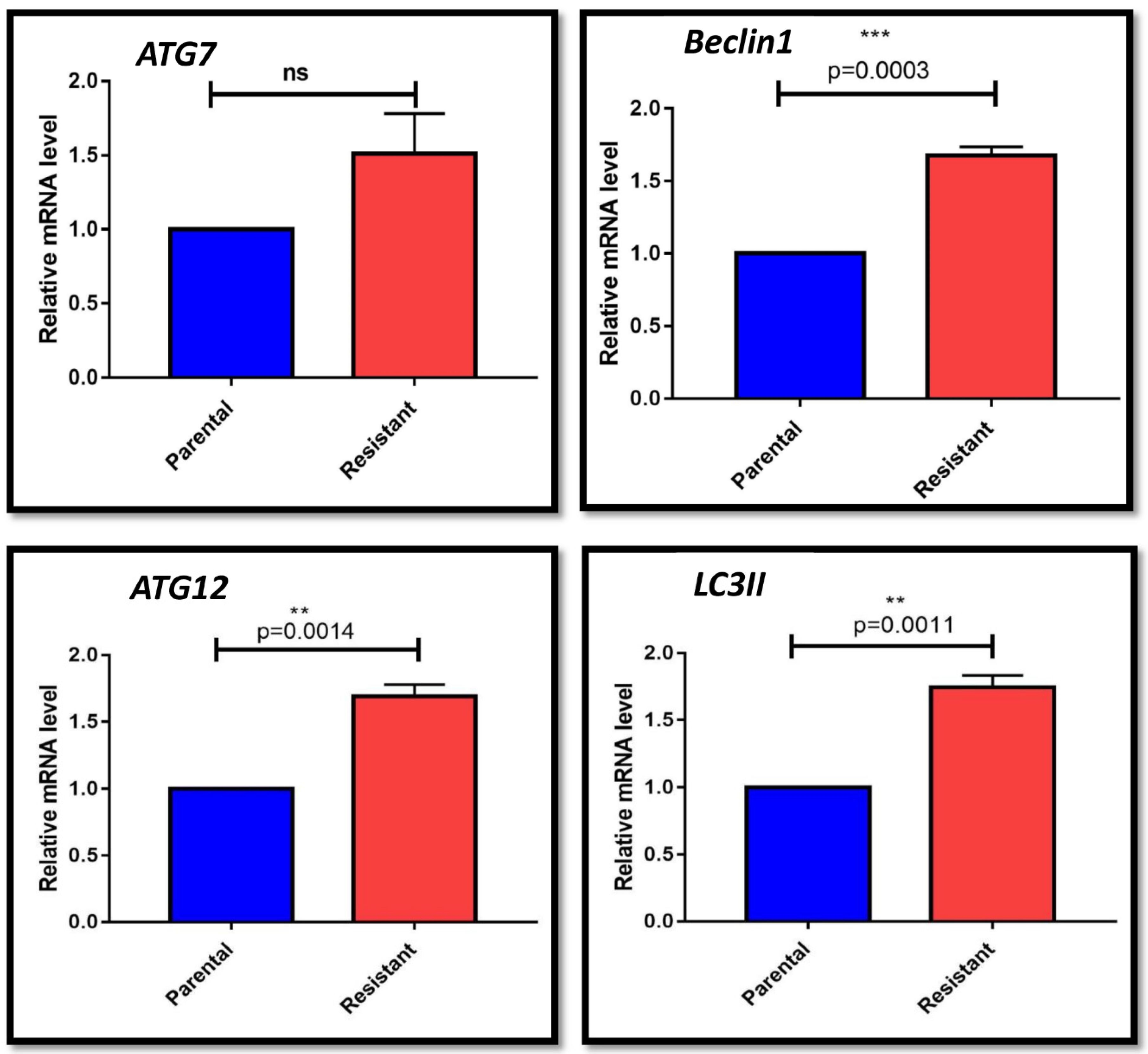 Genes 13 01375 g001 550