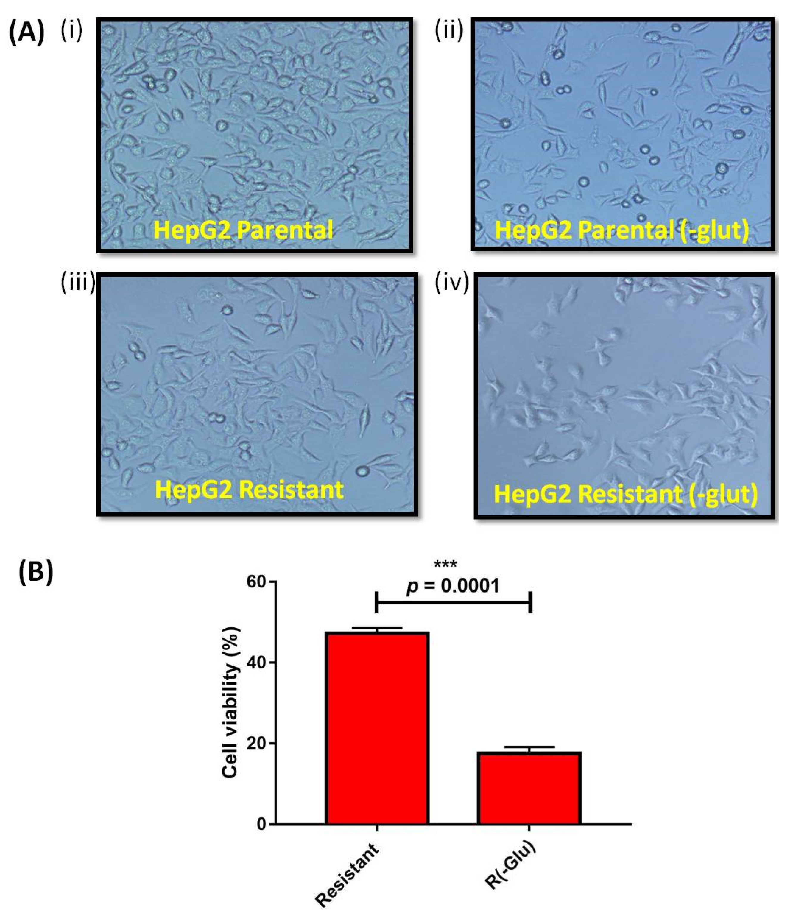 Genes 13 01375 g004 550