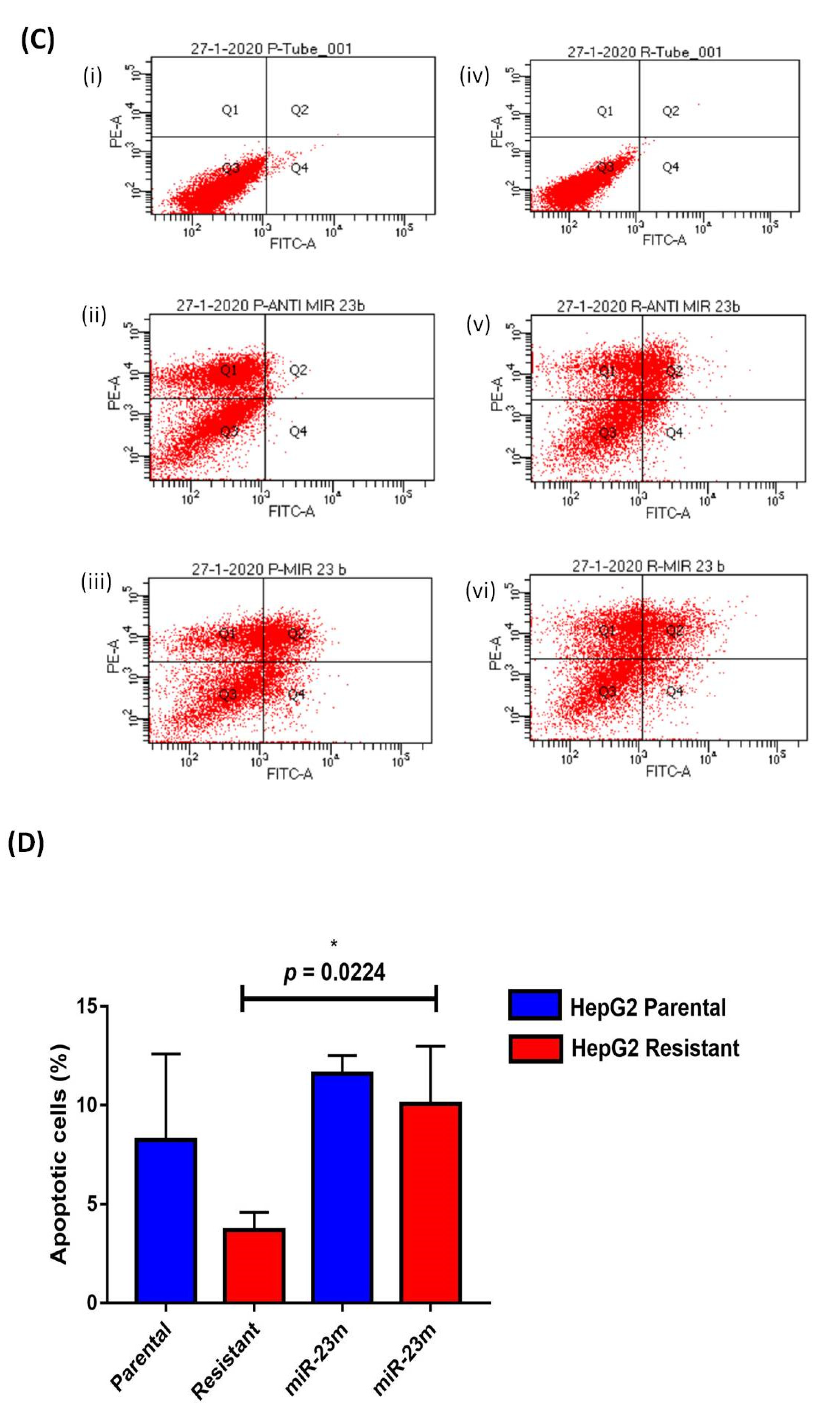 Genes 13 01375 g011b 550
