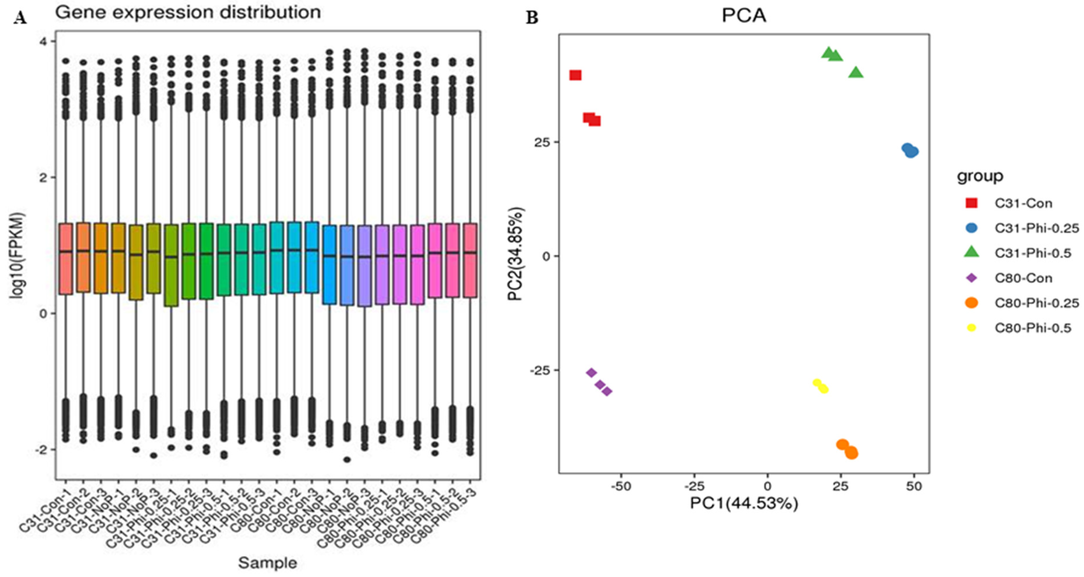 Genes | Free Full-Text | Comparative Transcriptome Profiling Reveals  Potential Candidate Genes, Transcription Factors, and Biosynthetic Pathways  for Phosphite Response in Potato (Solanum tuberosum L.)