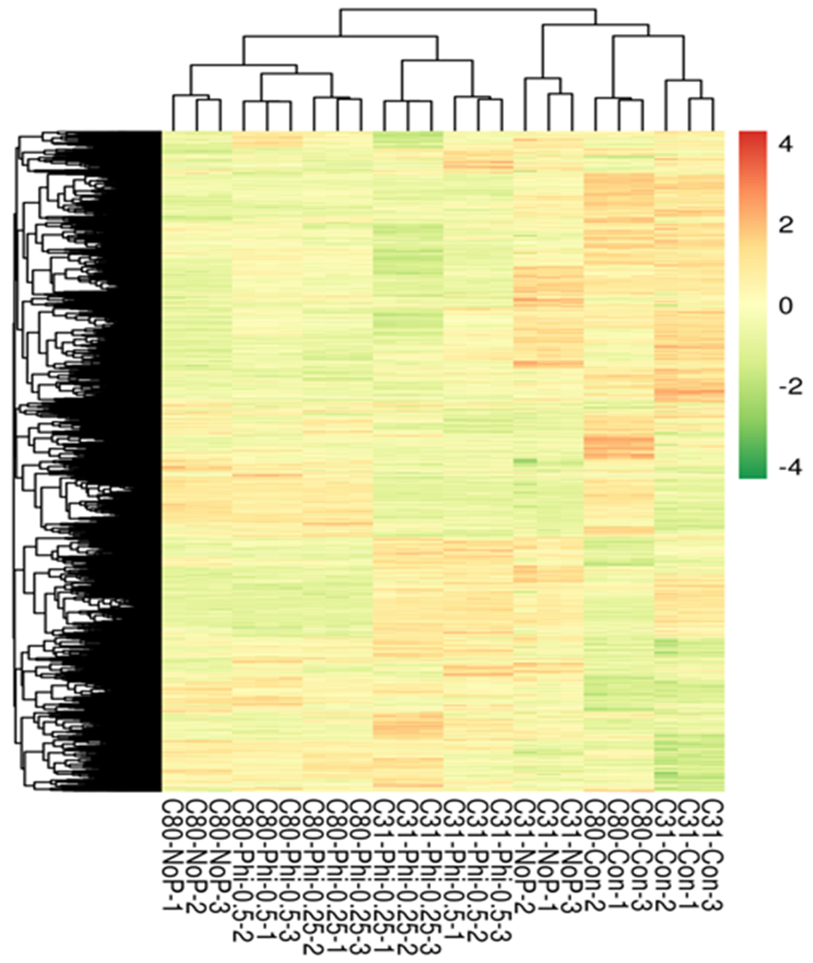Genes 13 01379 g006 Genes 13 01379 g006